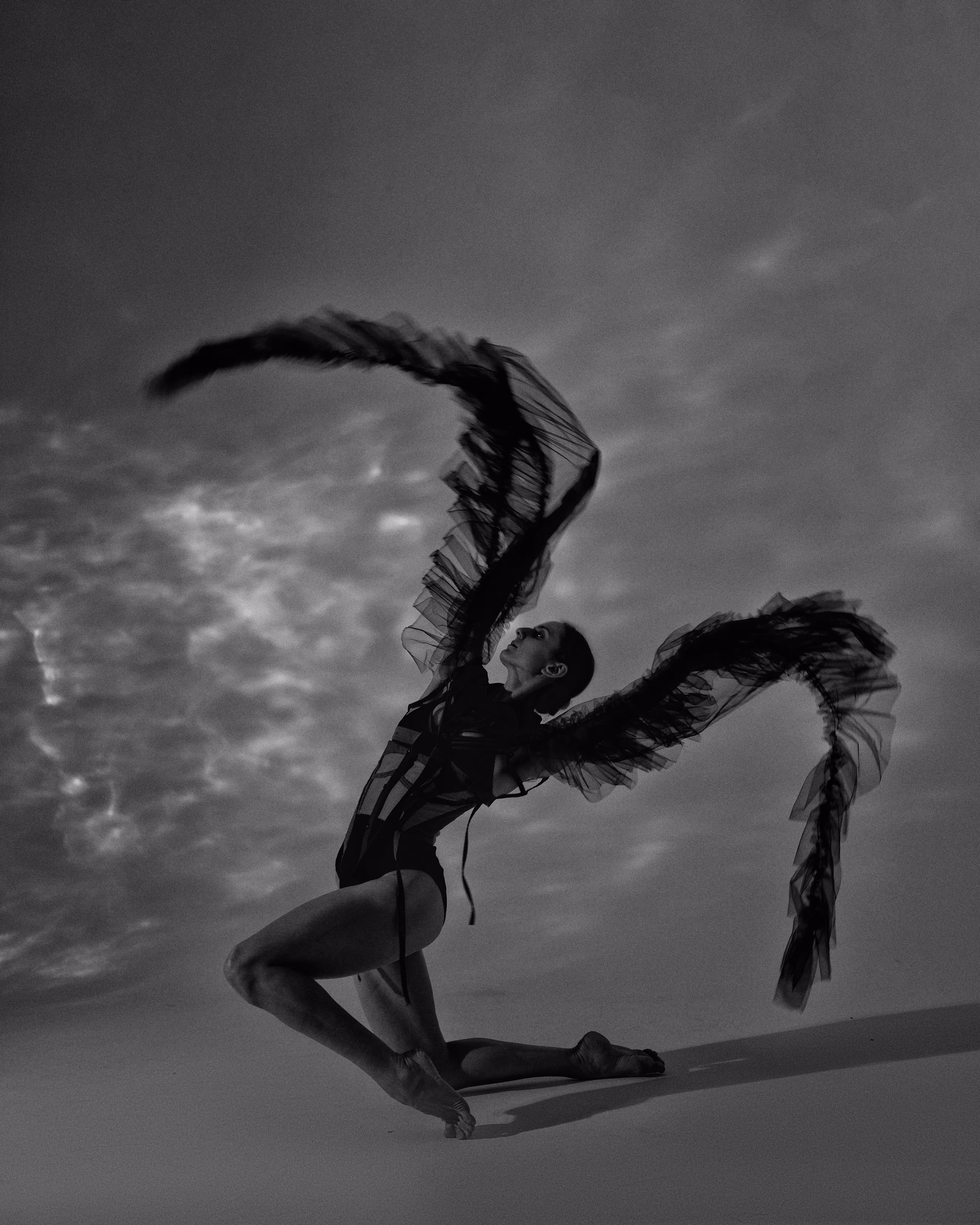The Wings