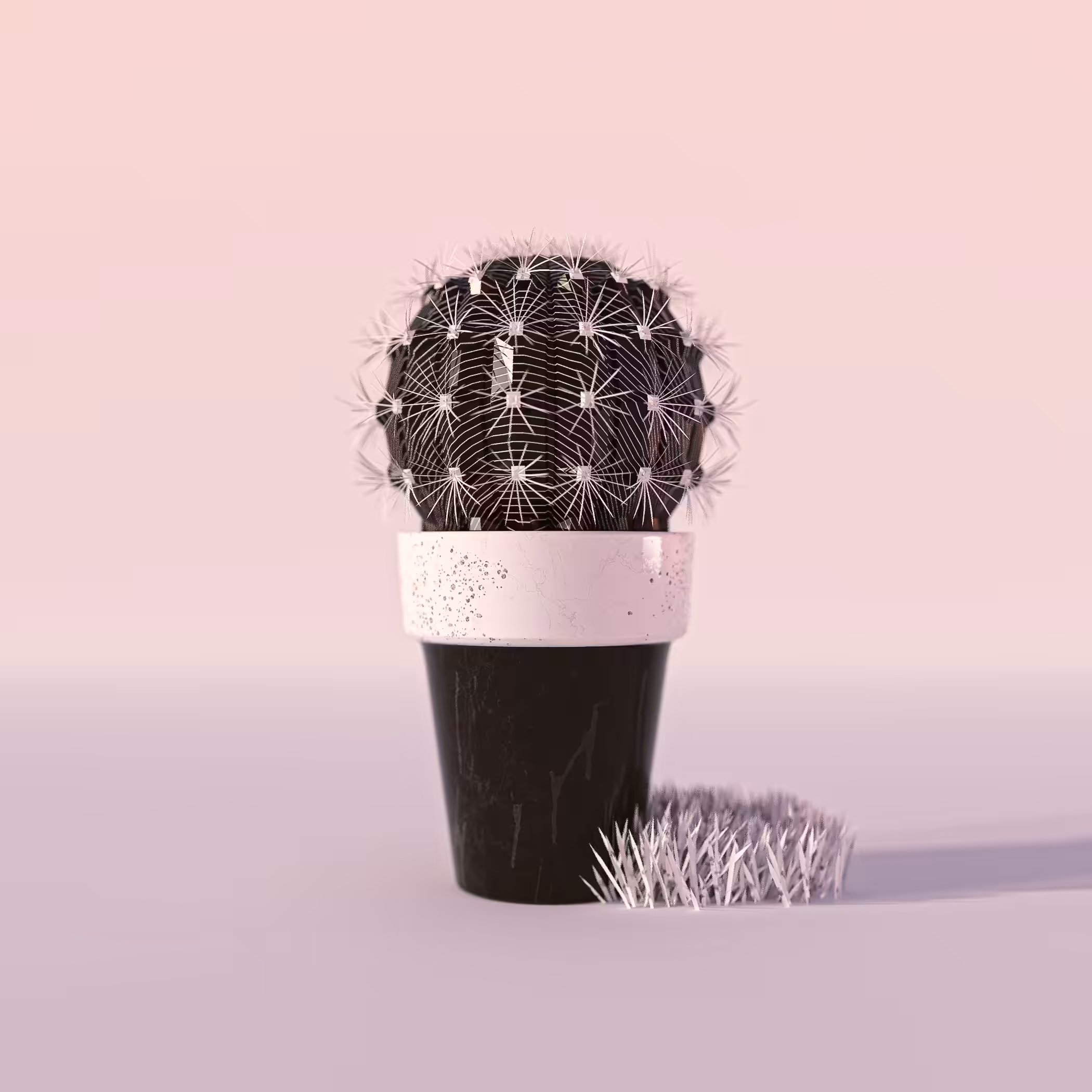 Discreet Cactus
