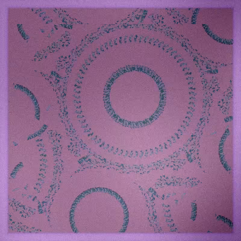 A Brushstroke of Chaos #2