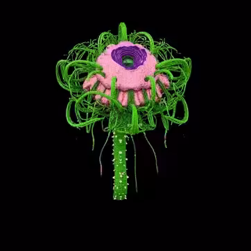GammaTime in (R)VERSE - Alien Tendril Bloom