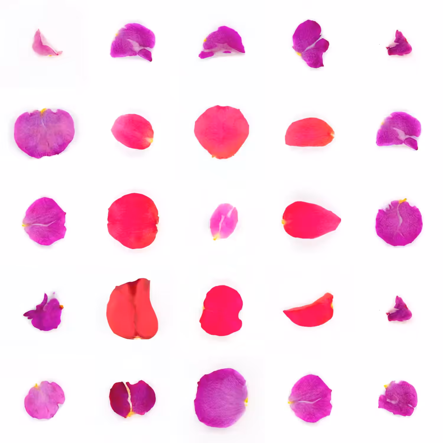 Infinite Petals 5x5#1655