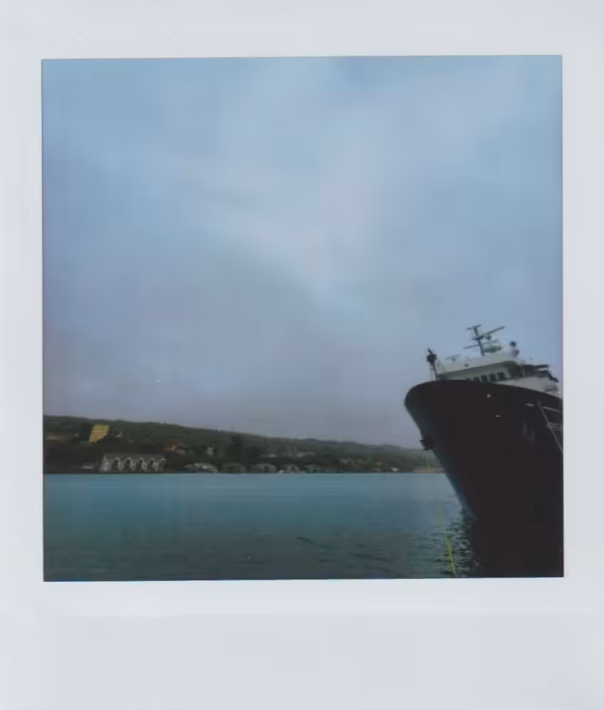 Instax 006
