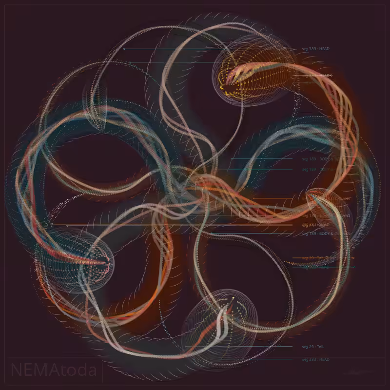 NEMA #70