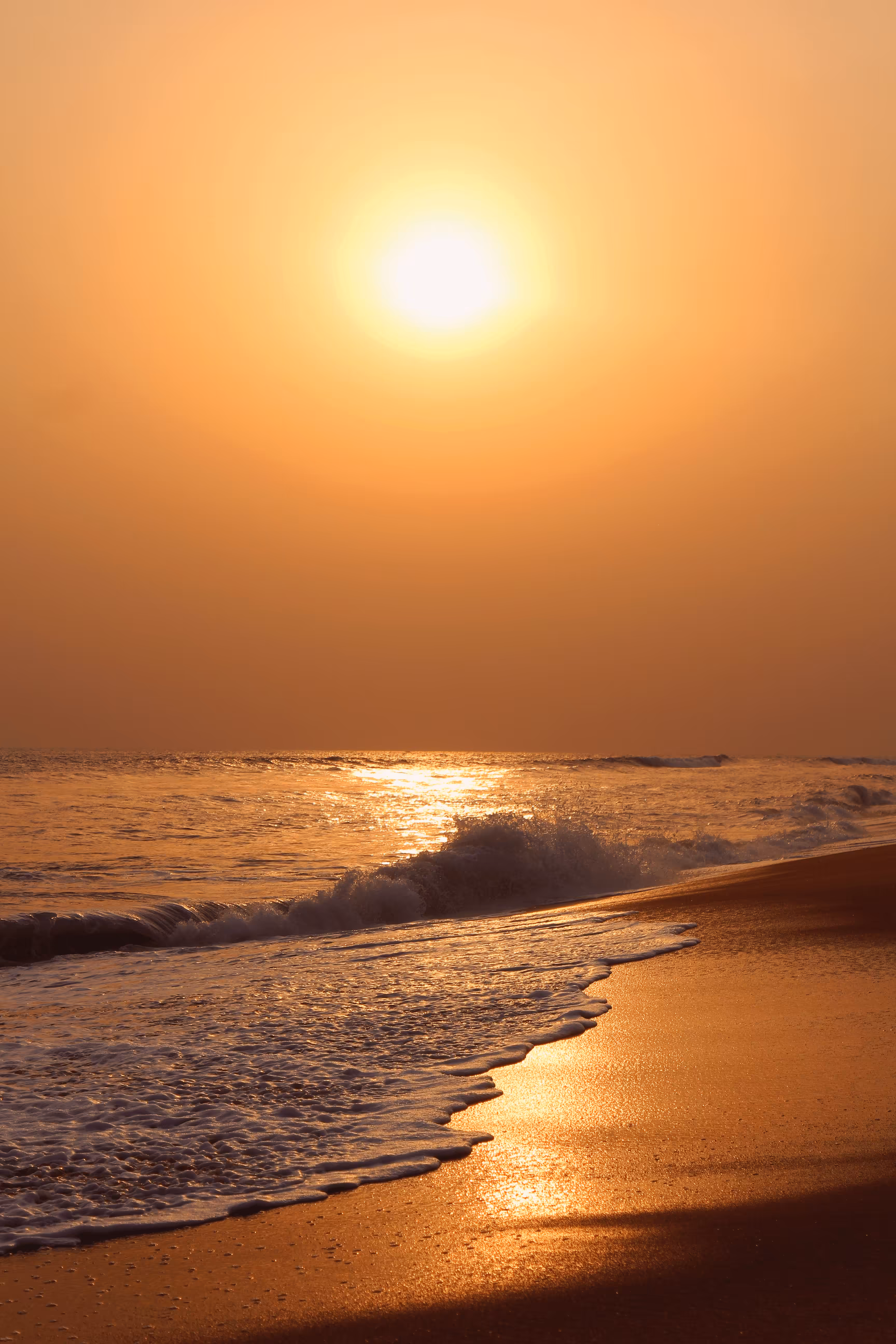 Sea the Sun Set - #013