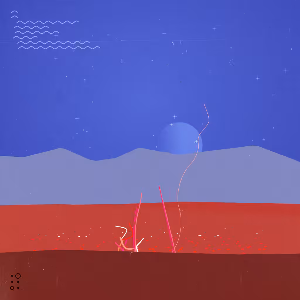 Dawn