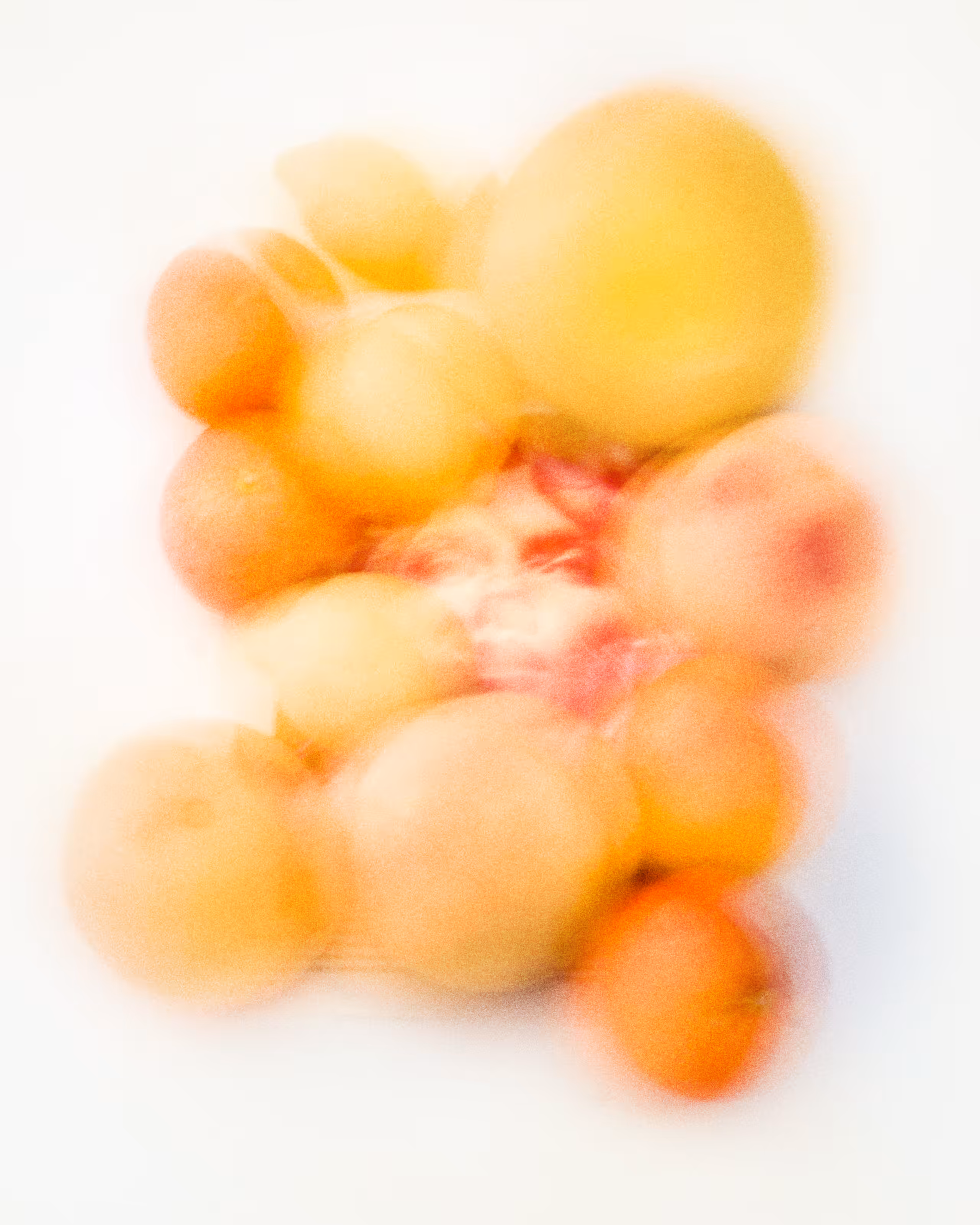 Barbara Oranges