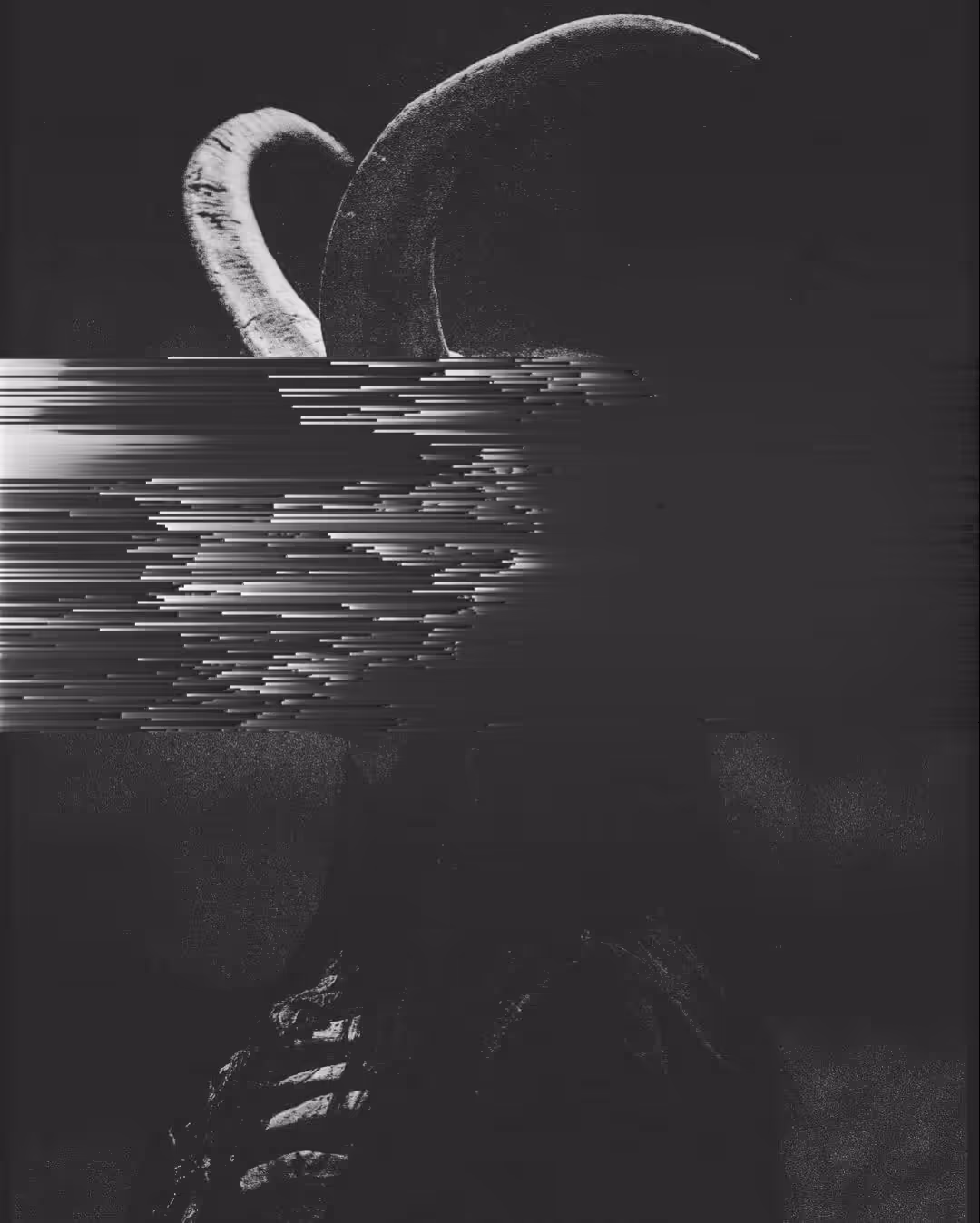 /PixelSorting_5/10|DECAY/-animated