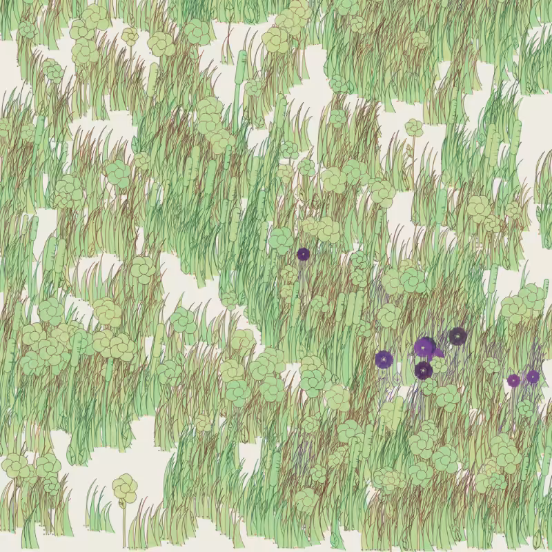 Petri 1500 #1363