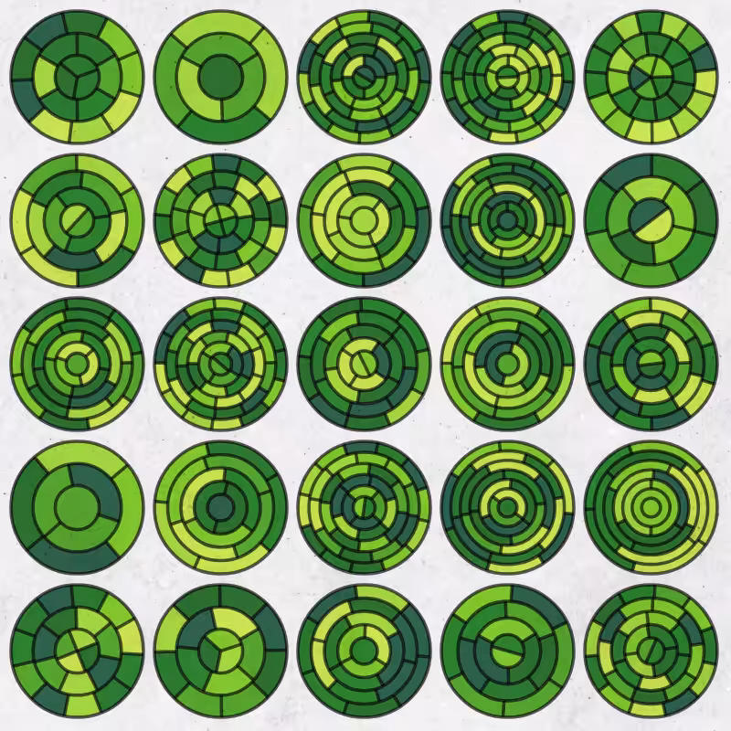 Targets #31