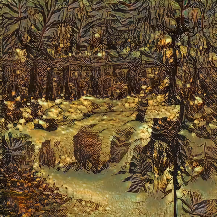 The Wilderness