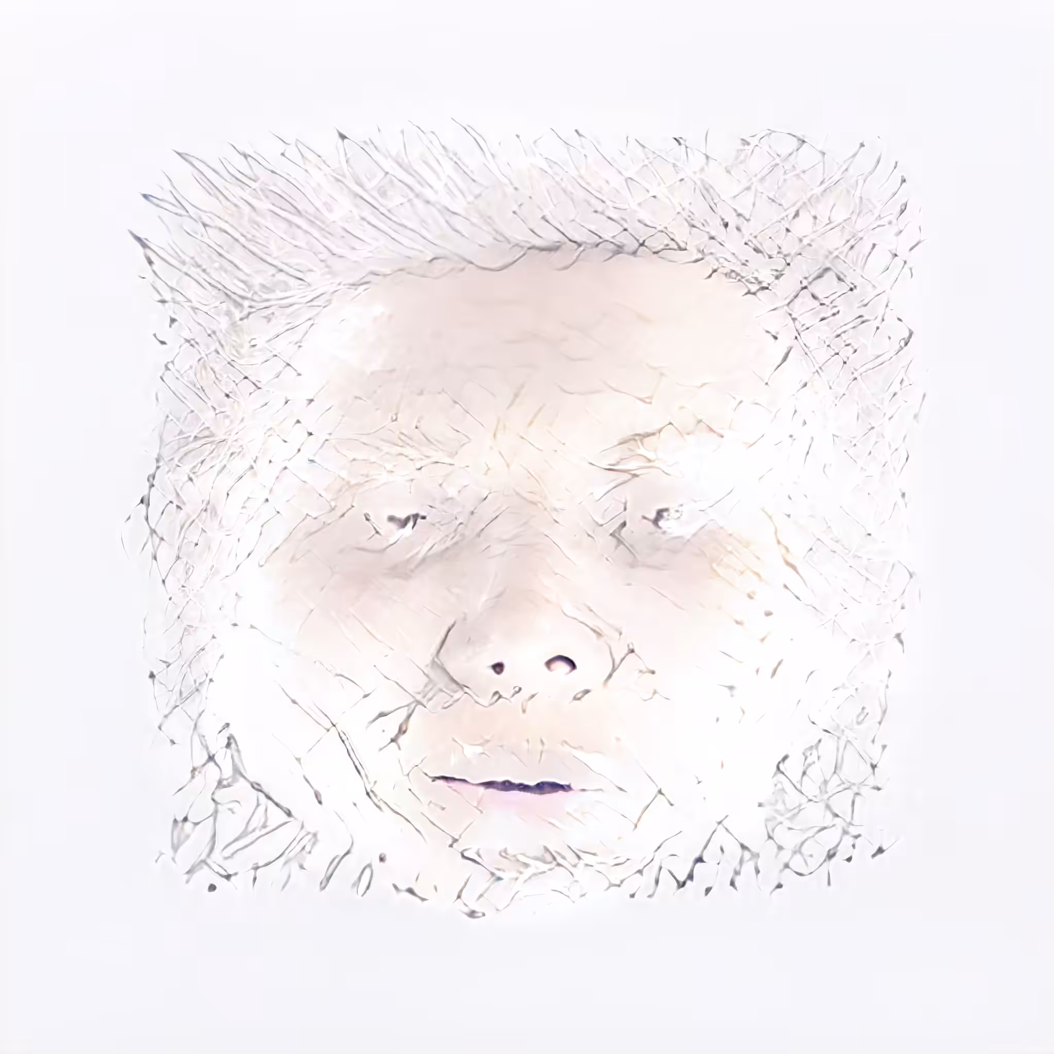 HUMANGLYPH 8