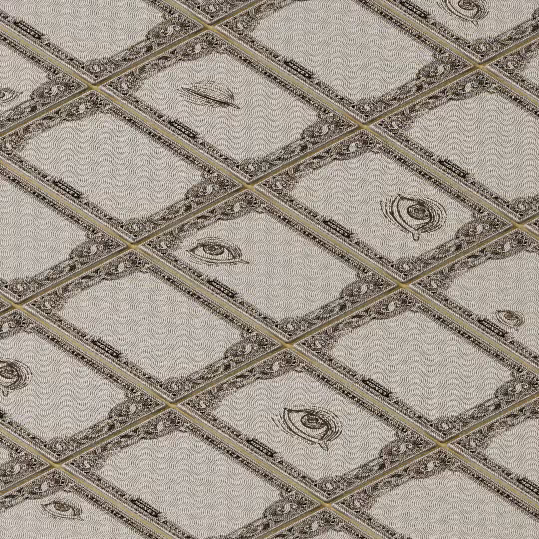 FIAT CURRENCY PILLOW