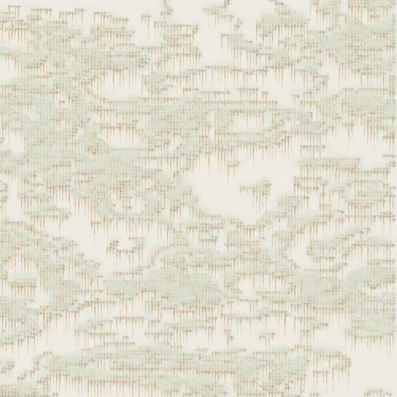 Petri 1500 #685