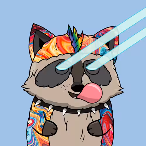 Charming Raccoons