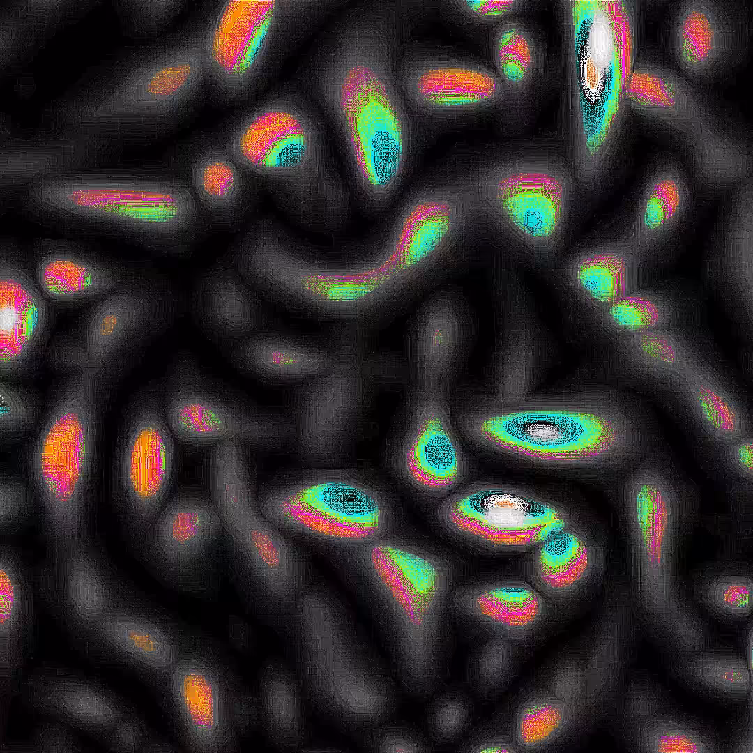 WORM GUTS