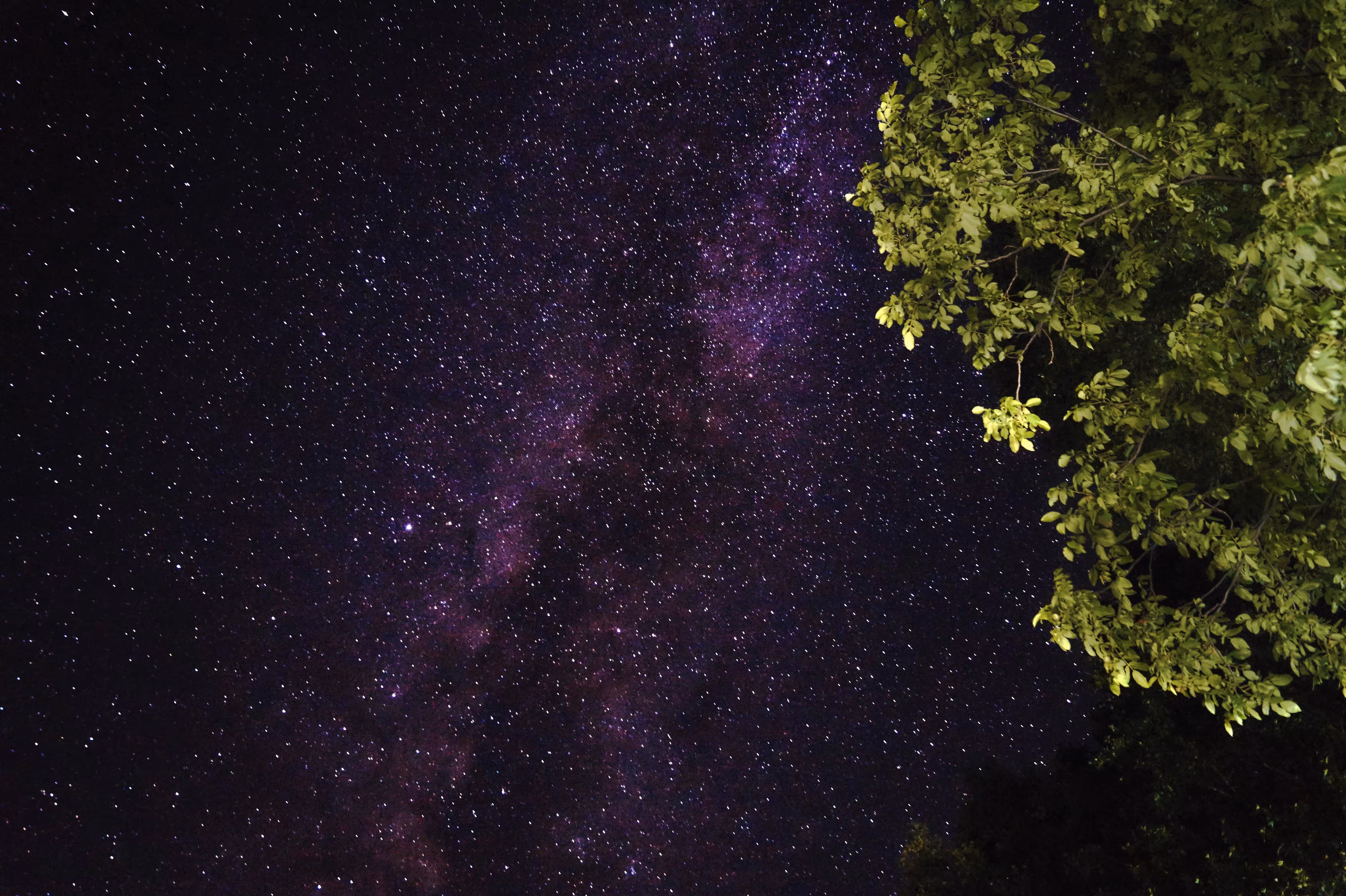 Starry Night