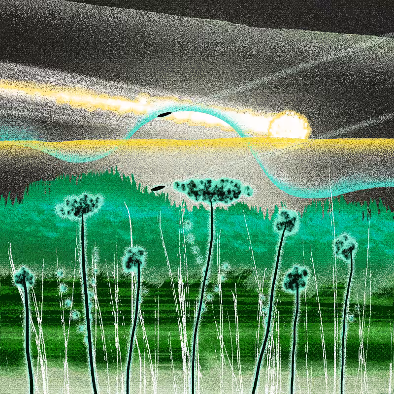 Ceshan's Psychedelics #516