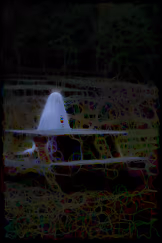 I feel like a ghost sometimes