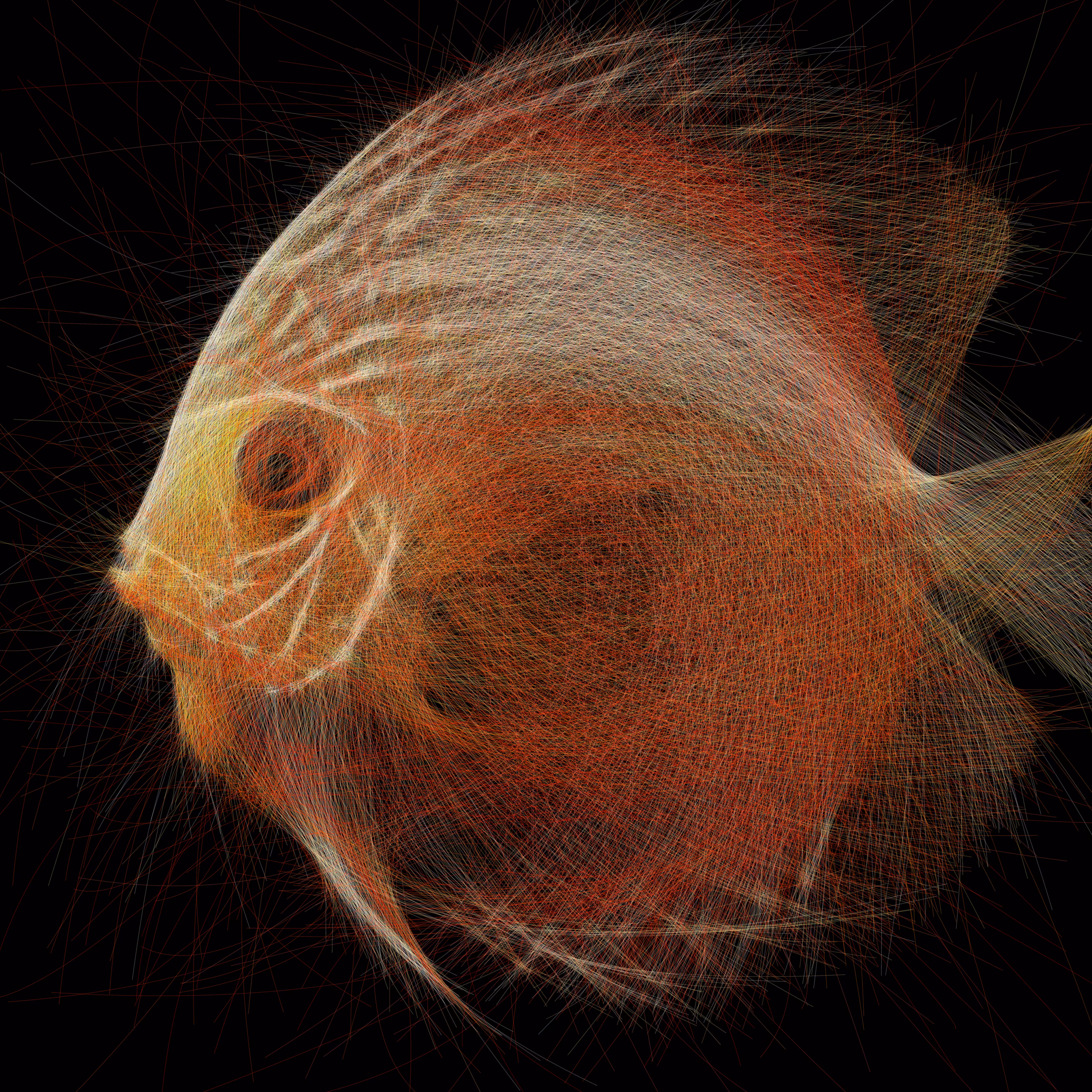 Underwater 283