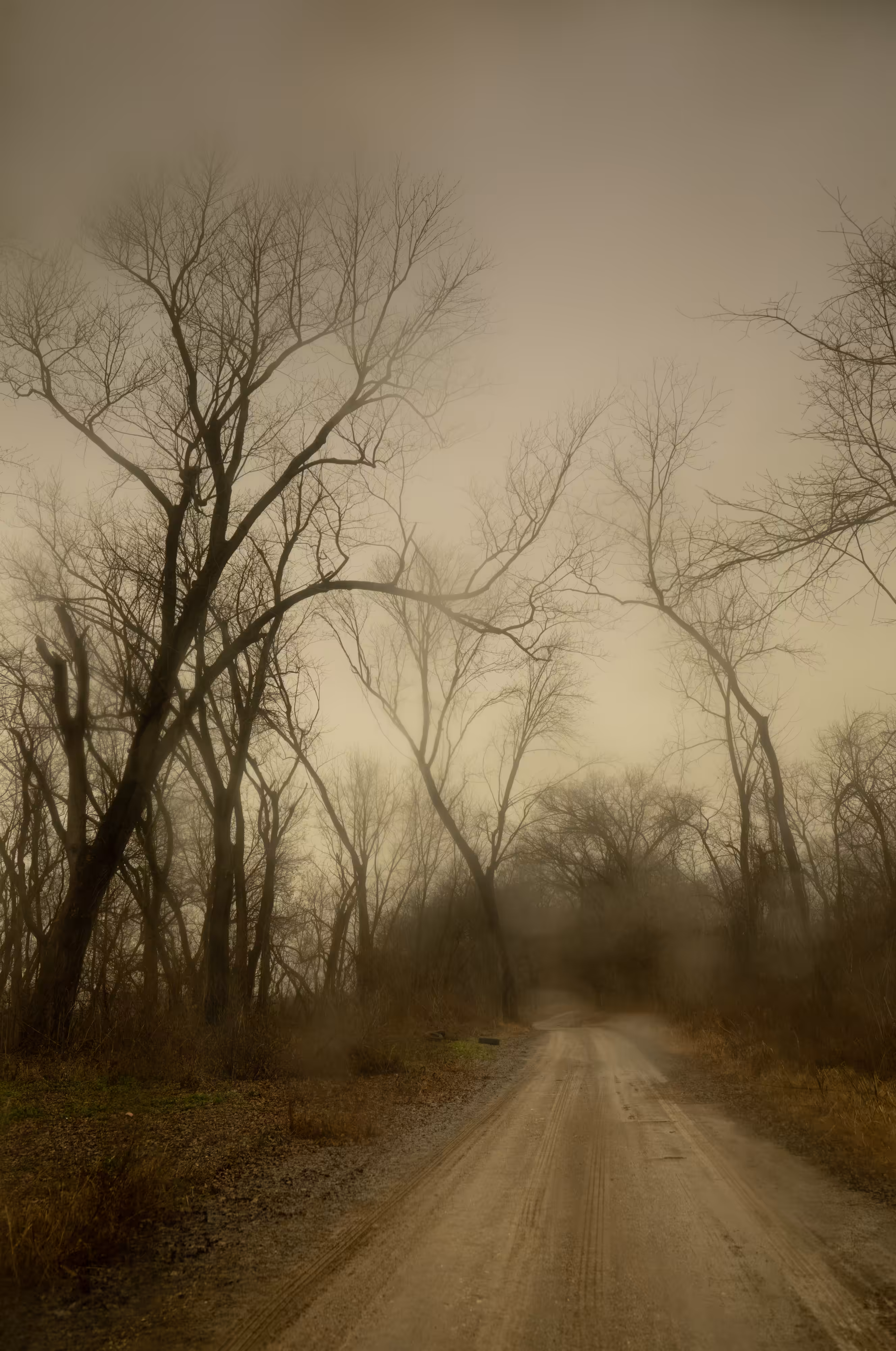 The Black Mechanism #49 (Untitled 12081-2383) by Todd Hido