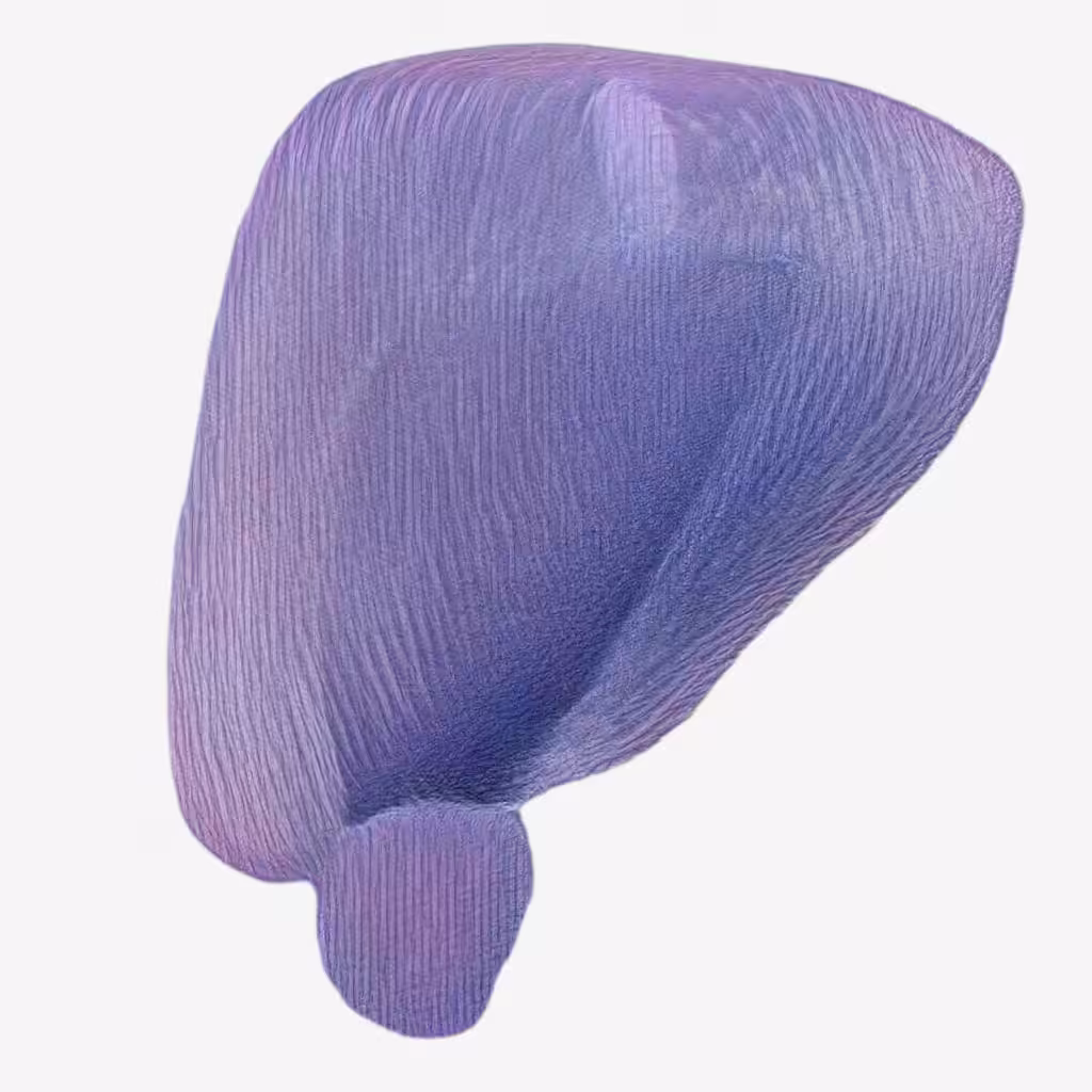 Whorl #5 “Iris”
