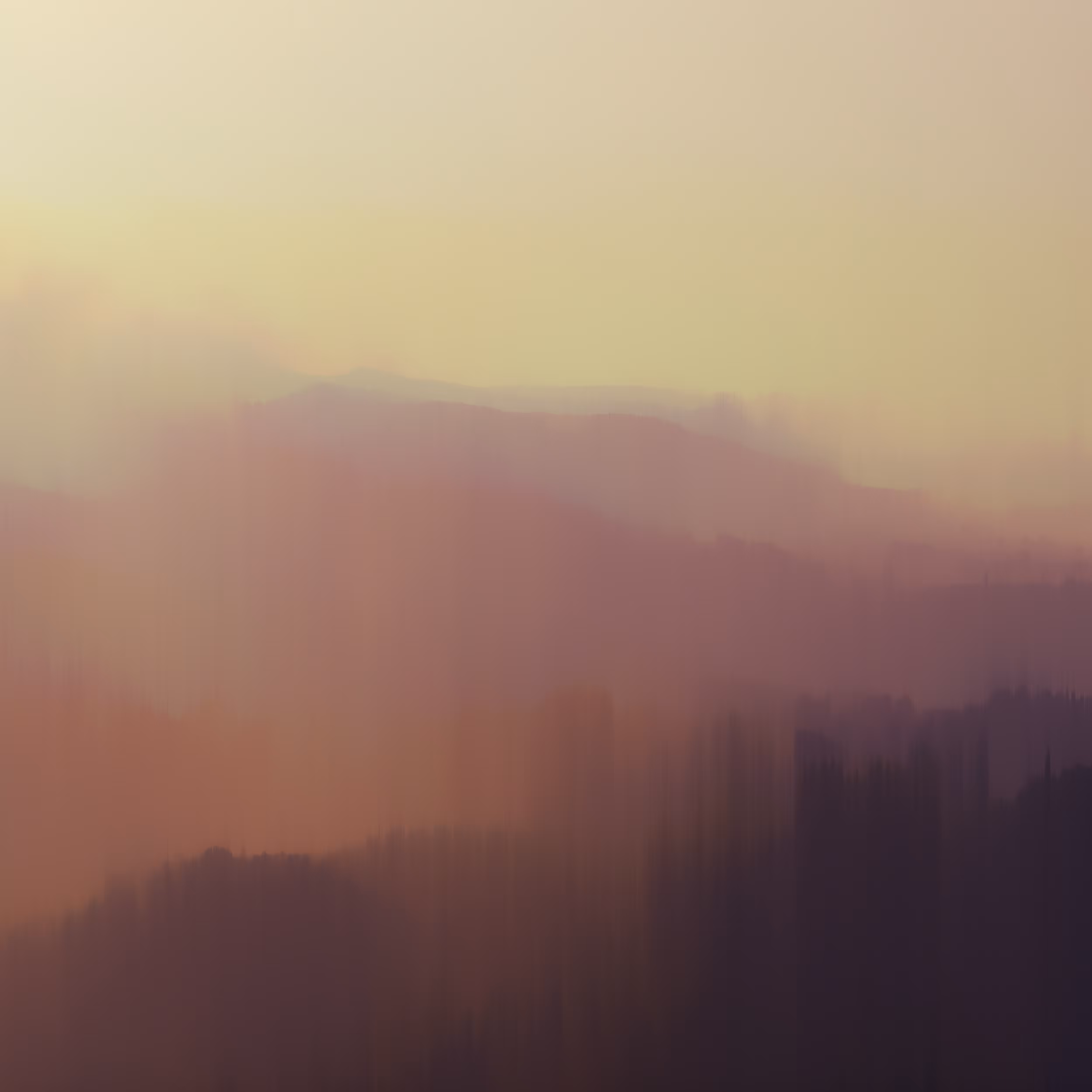 Plains