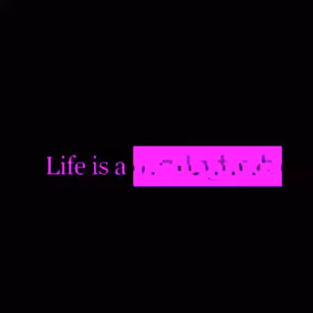 Life is a ...