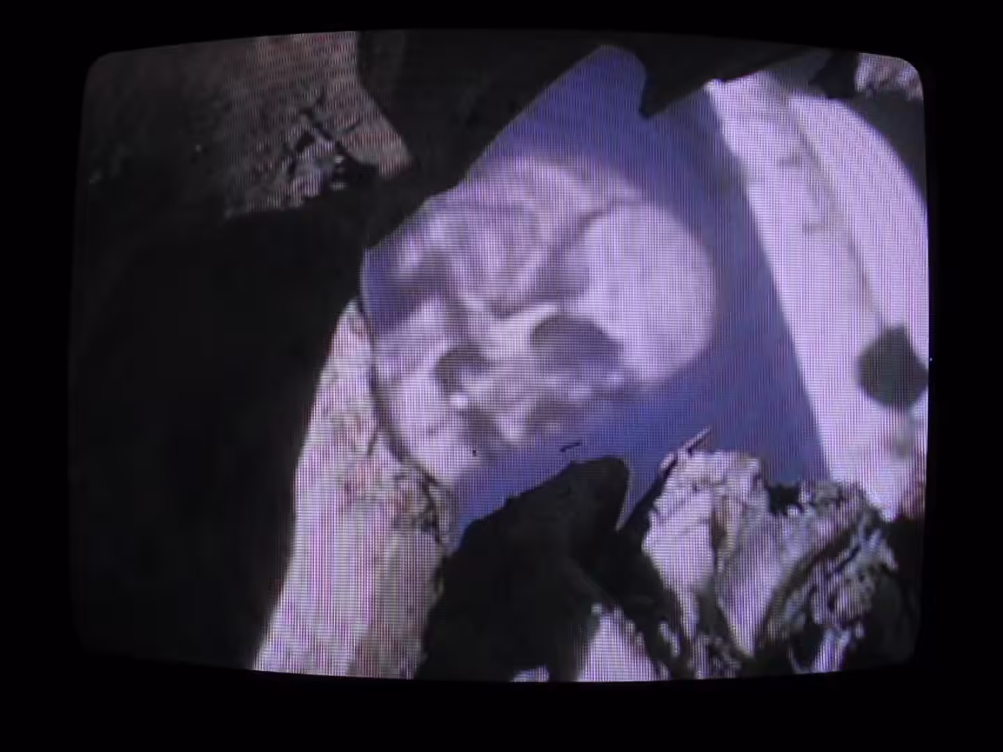 SkullProjector by BerSektor