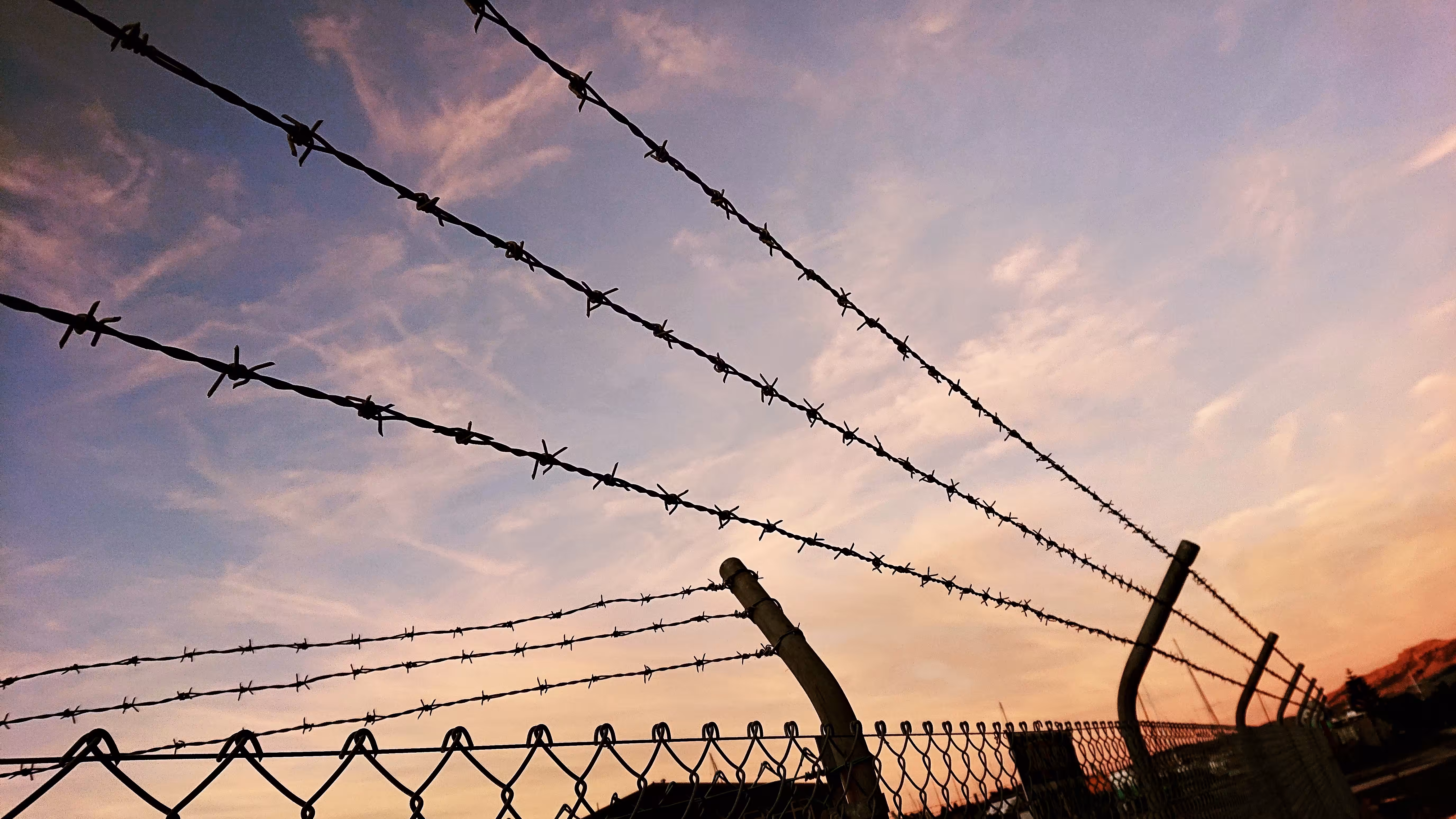 barbed sunrise