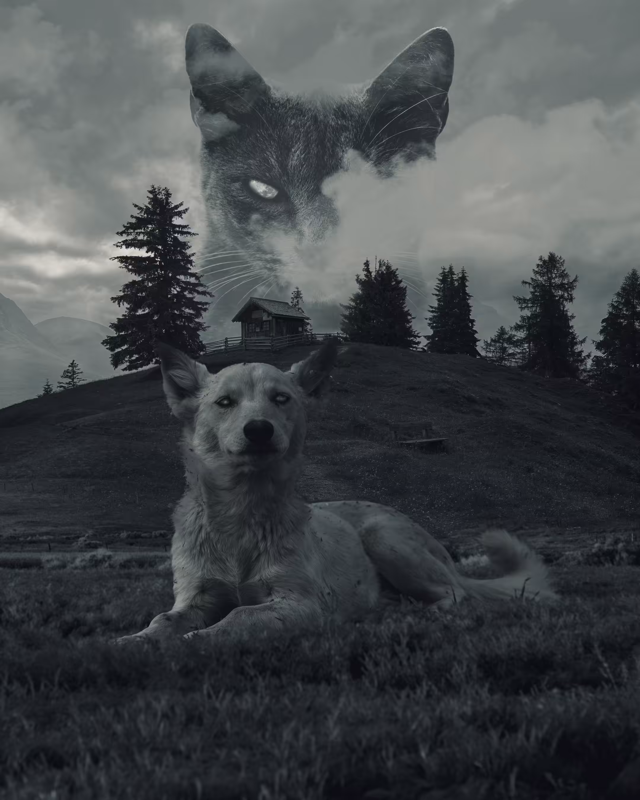 The Close Fear