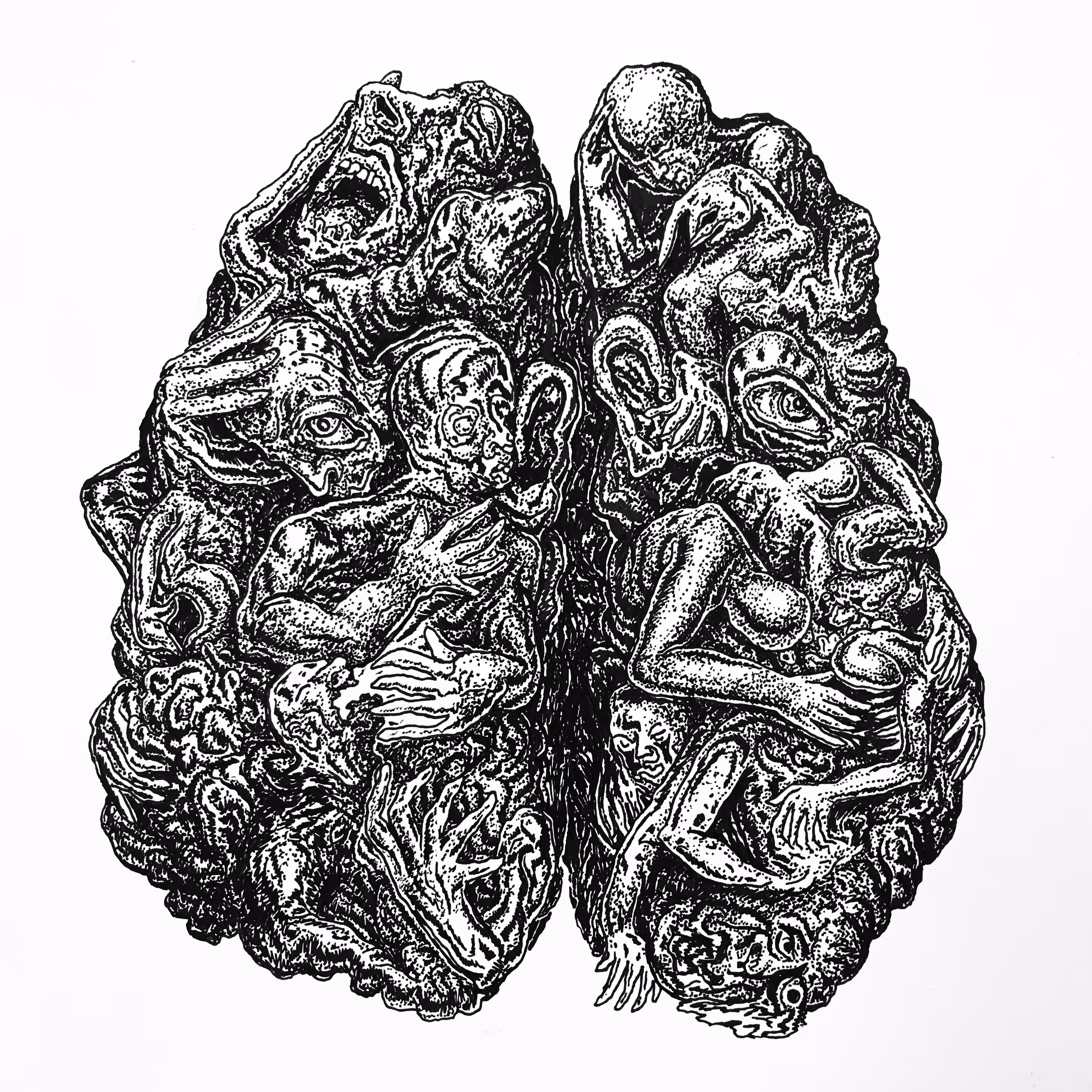 Entropy