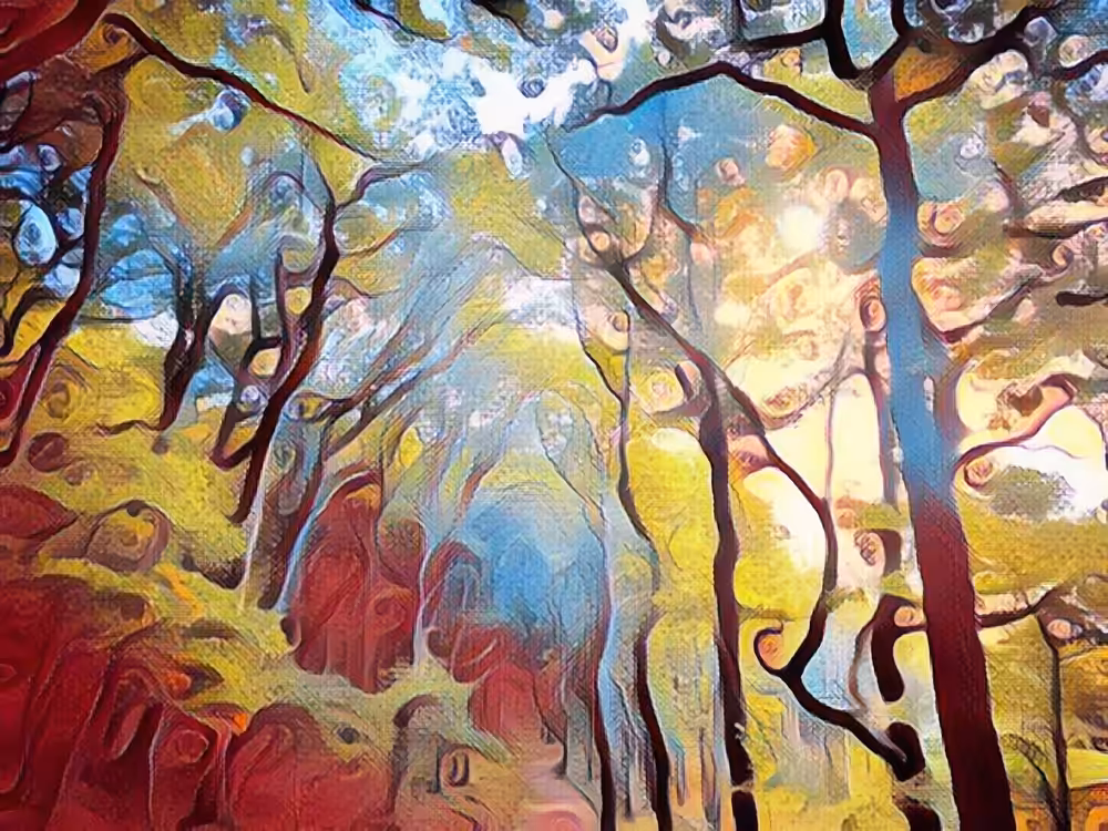 No.9 Along the path towards the light