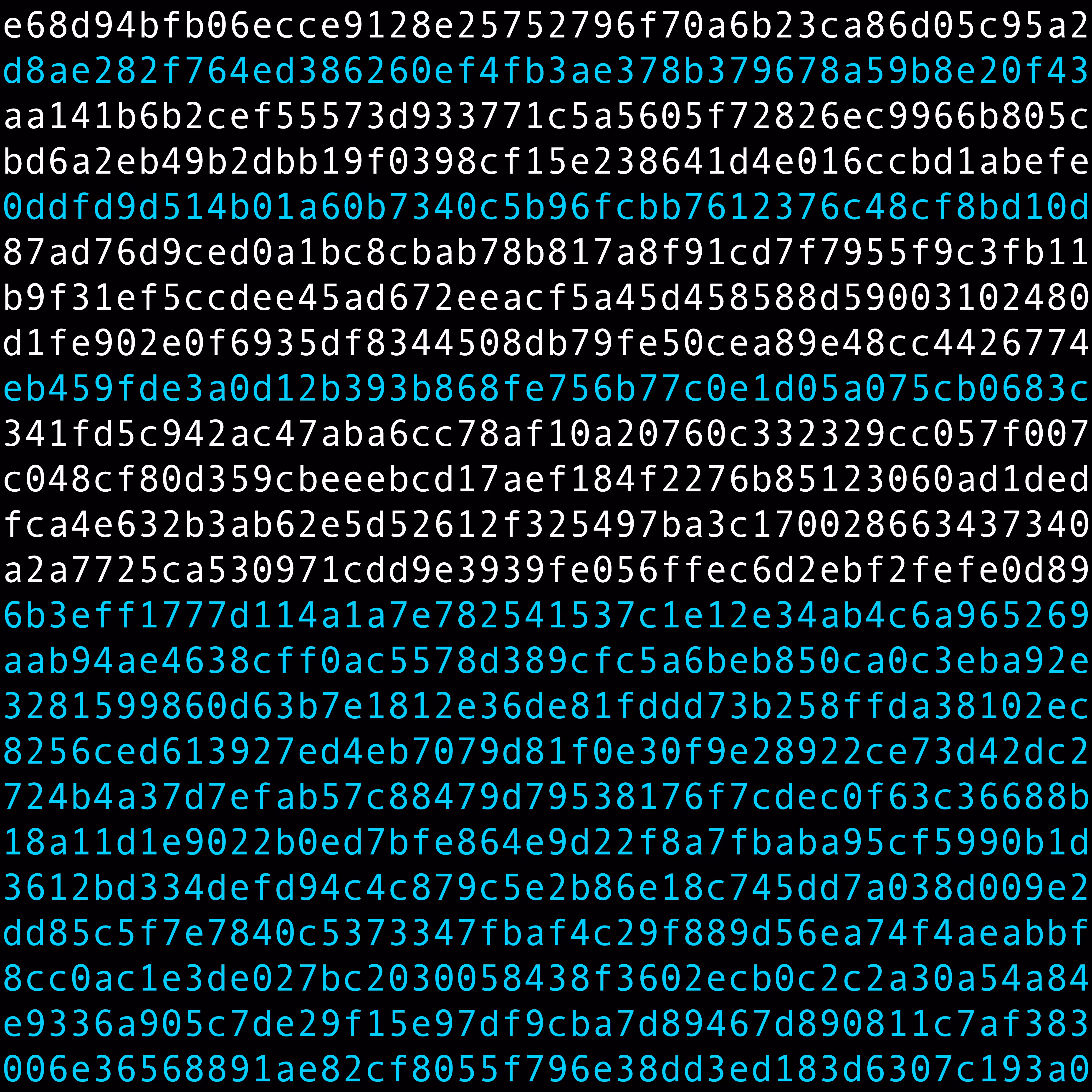 1111 #0019