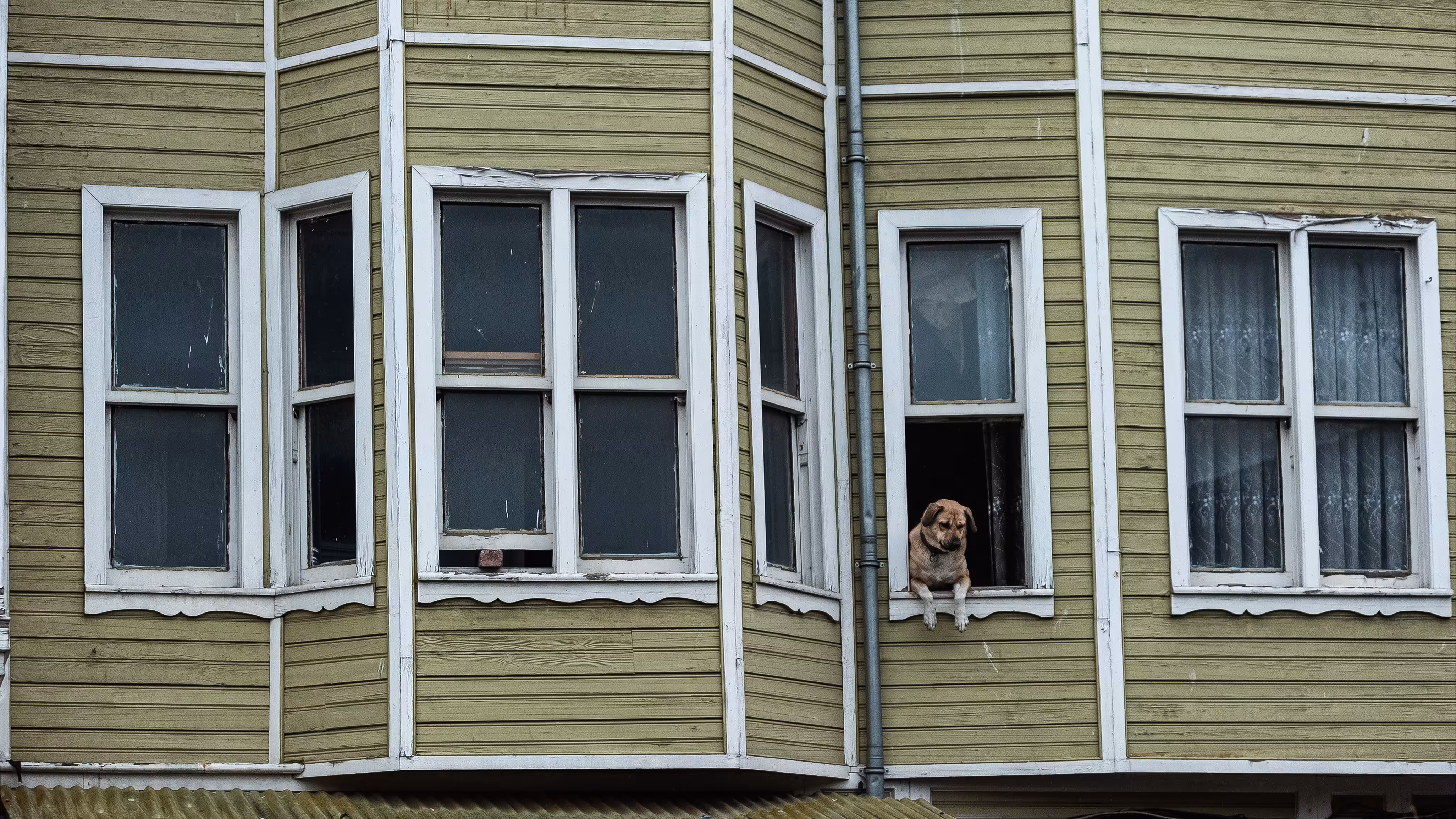 Spying on neighbors