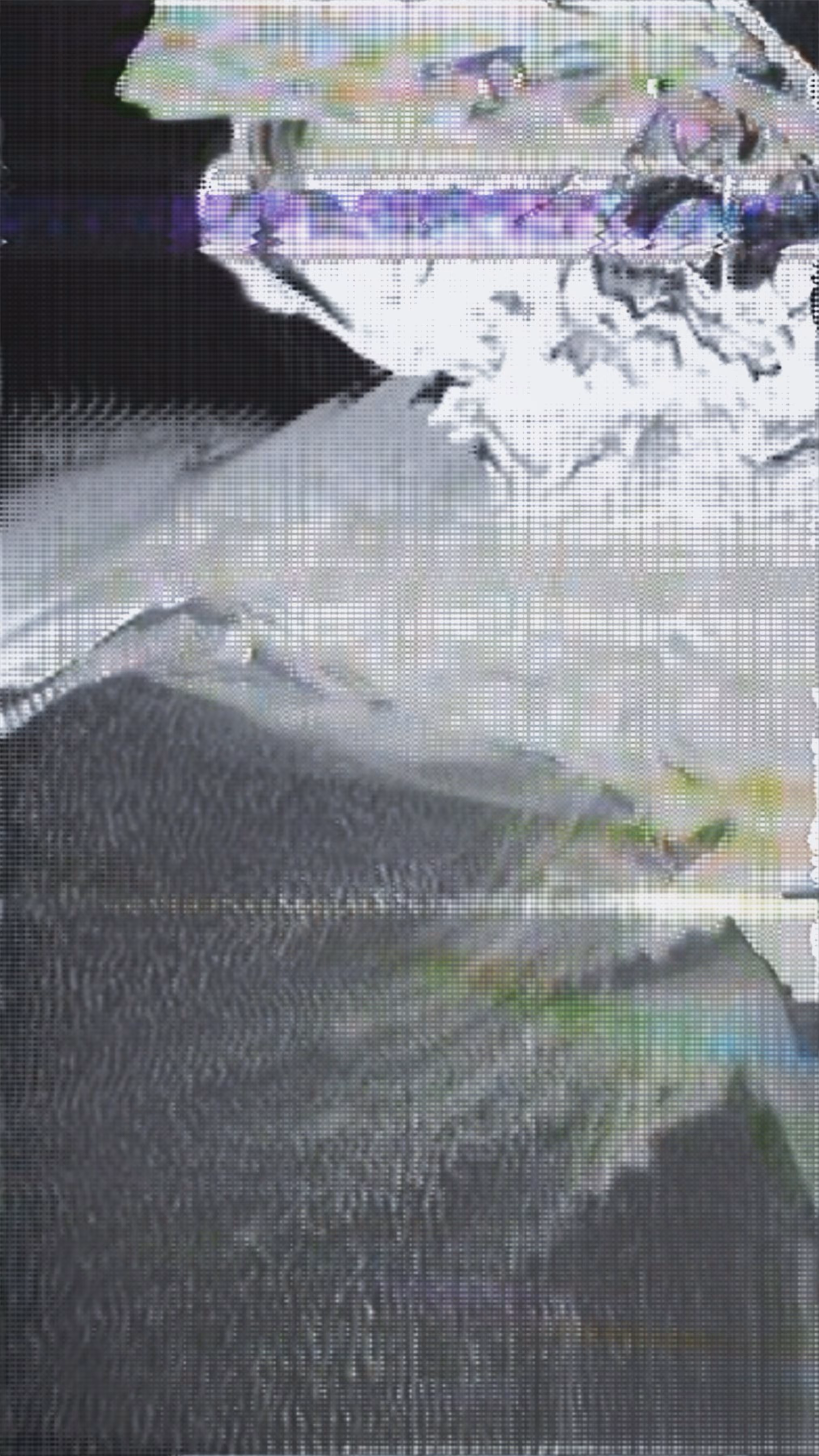 Fractured Signals: Echo