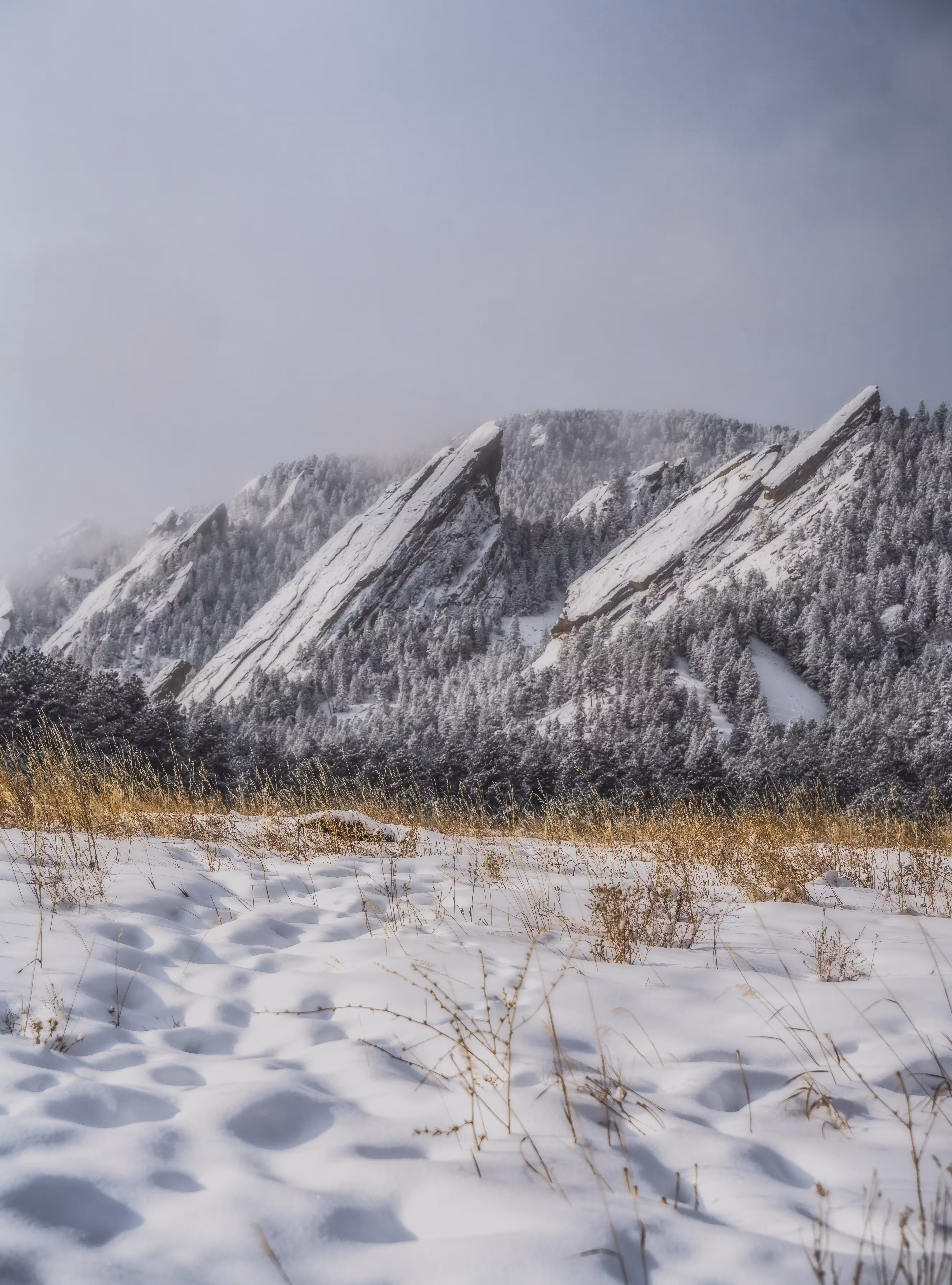 Snow Covered Flatirons