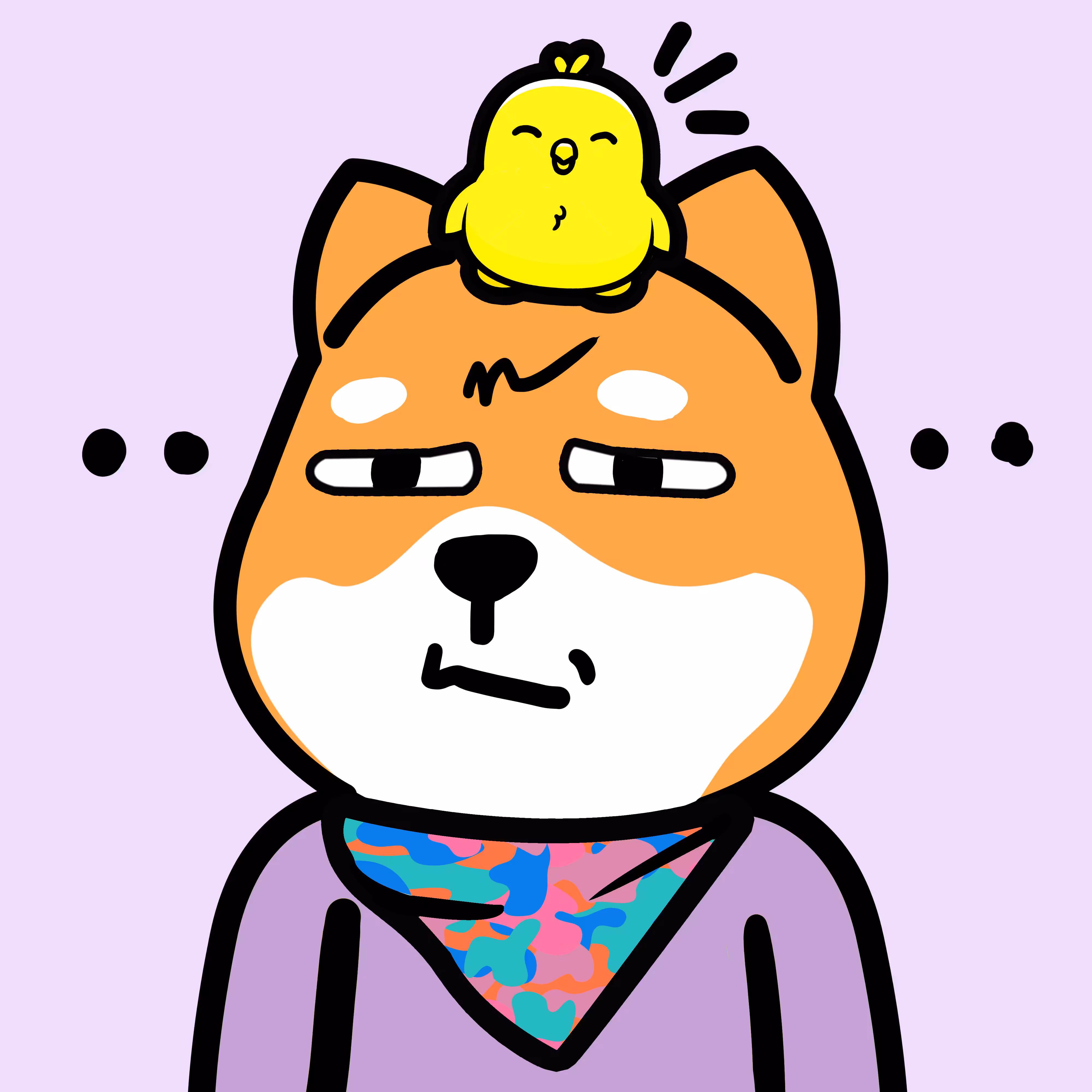 bobo Shiba #064
