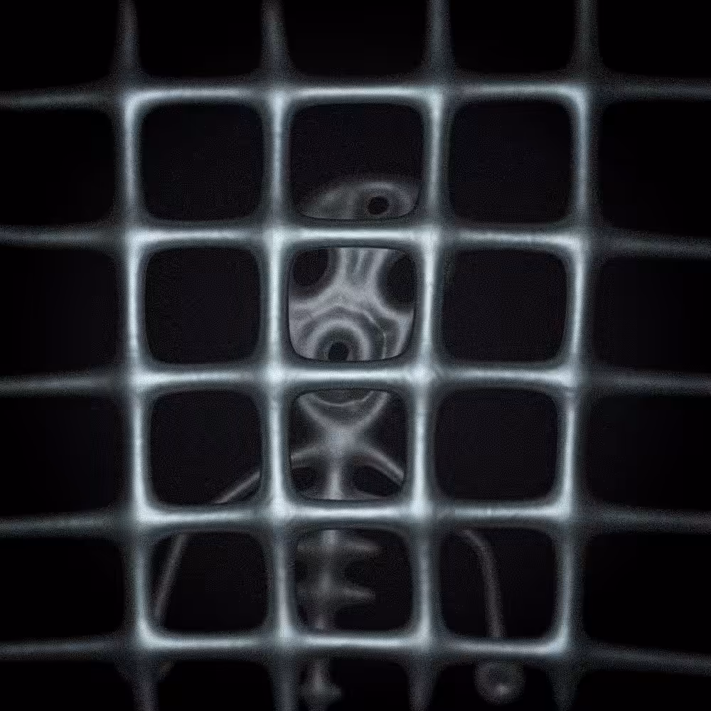 Forgotten prisoner