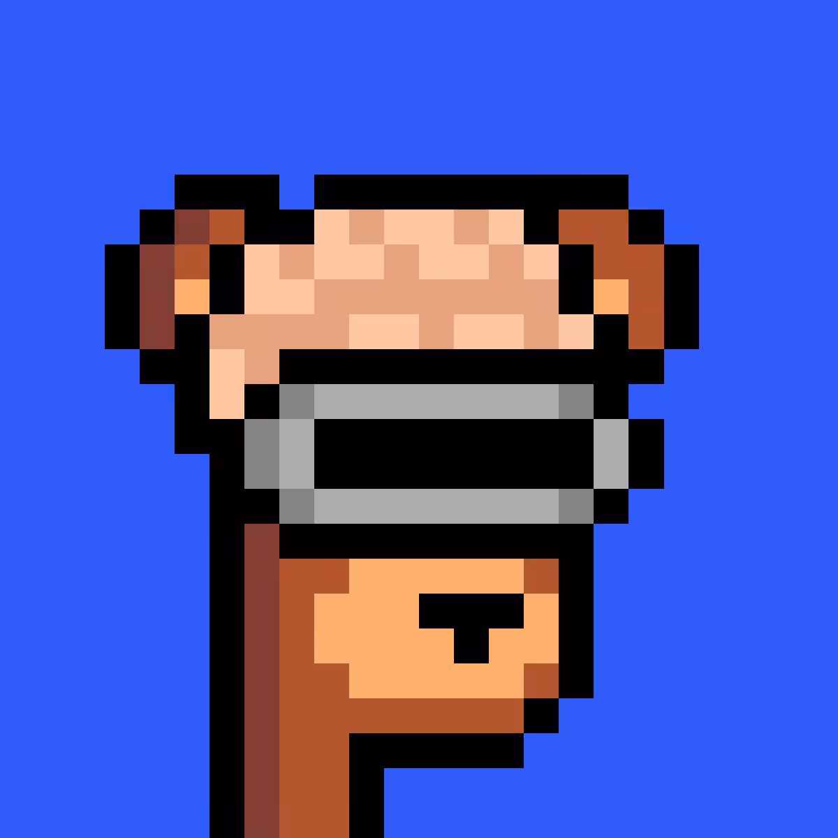 BearPunks #2586