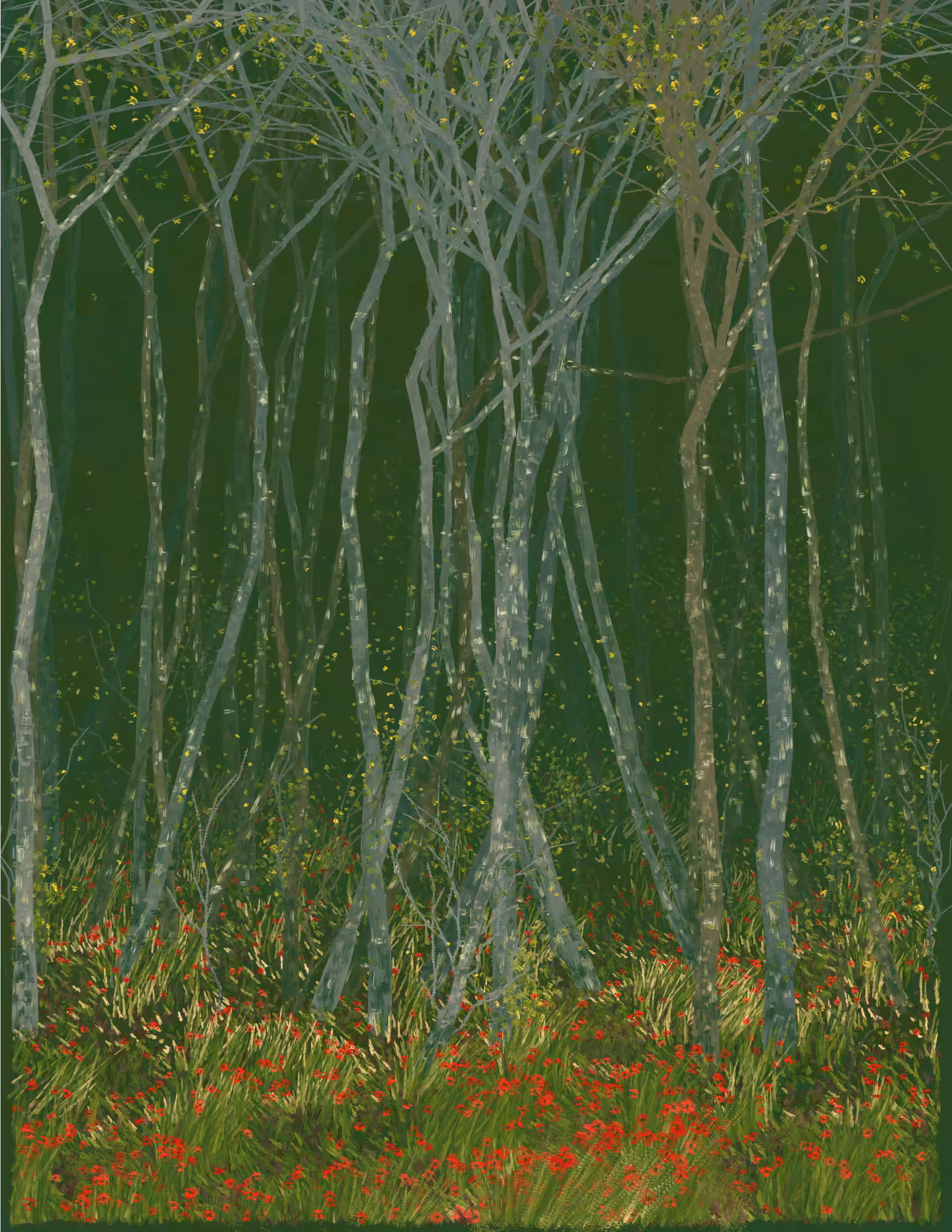 Deep Forest #224