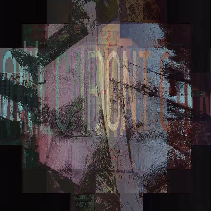 Pay attention to me beacause I make art #83