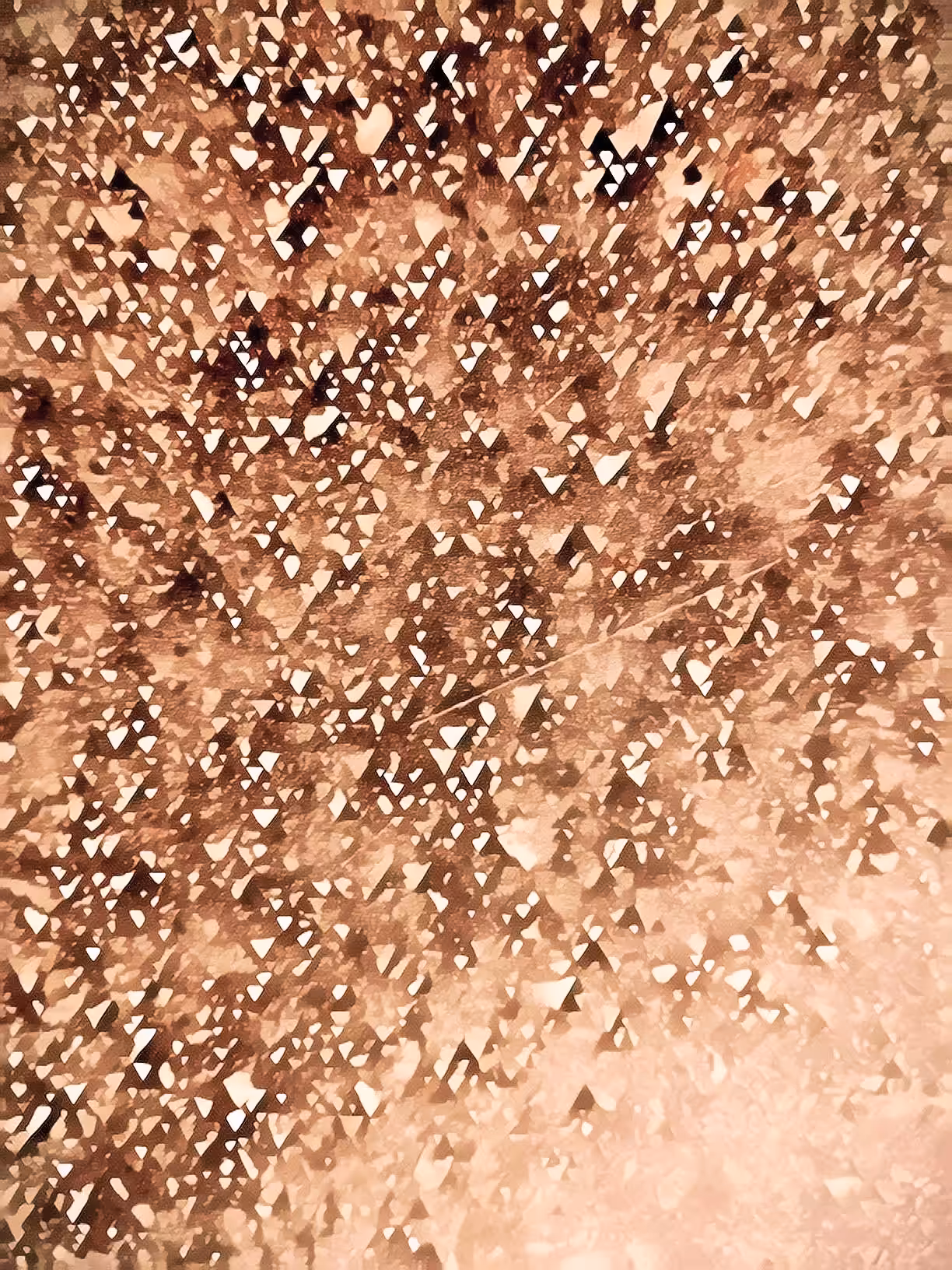 SW-2