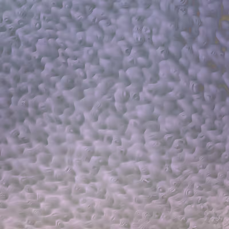 Noise Corals #7