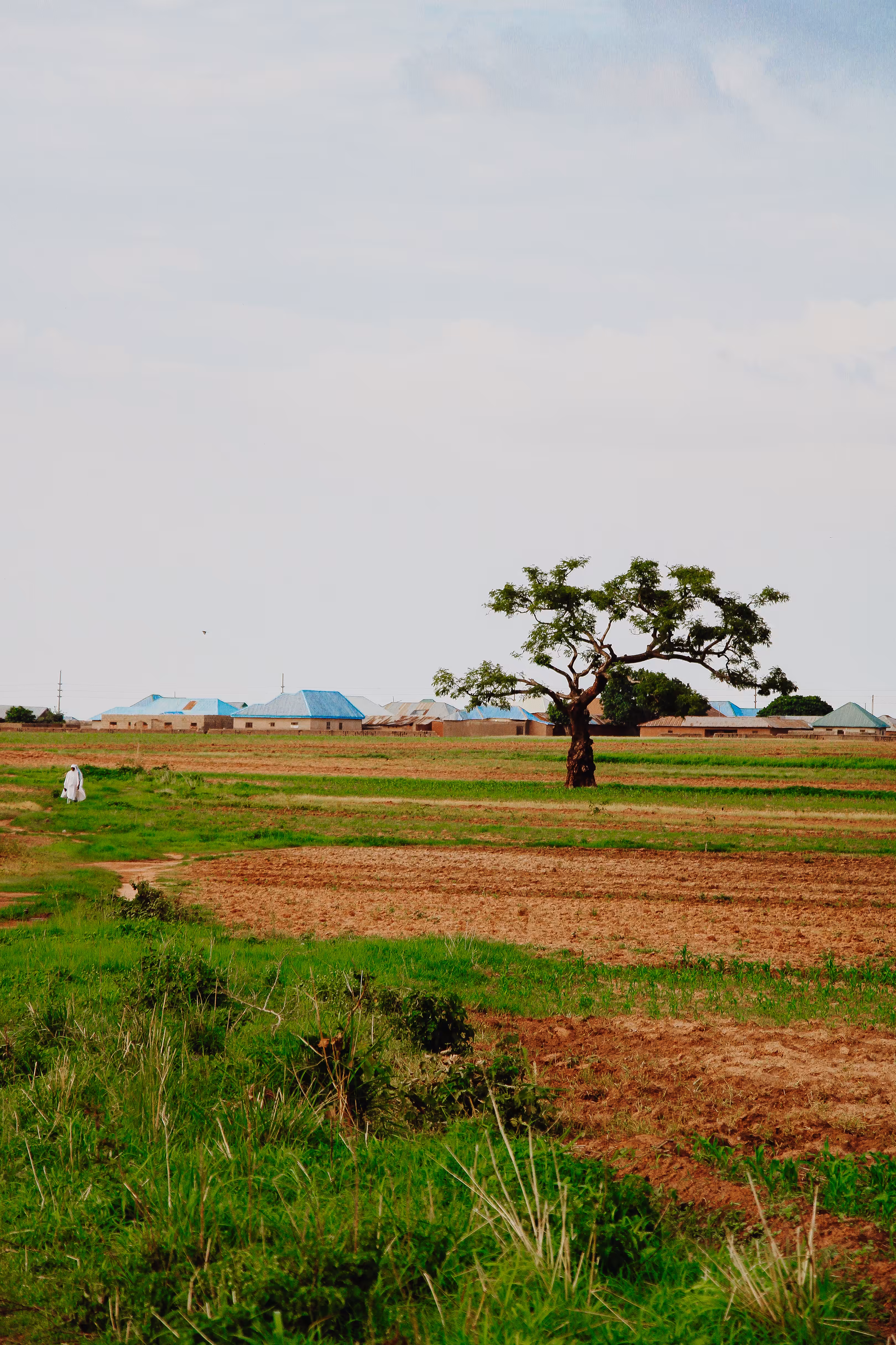 Scenes of a peaceful setlement
