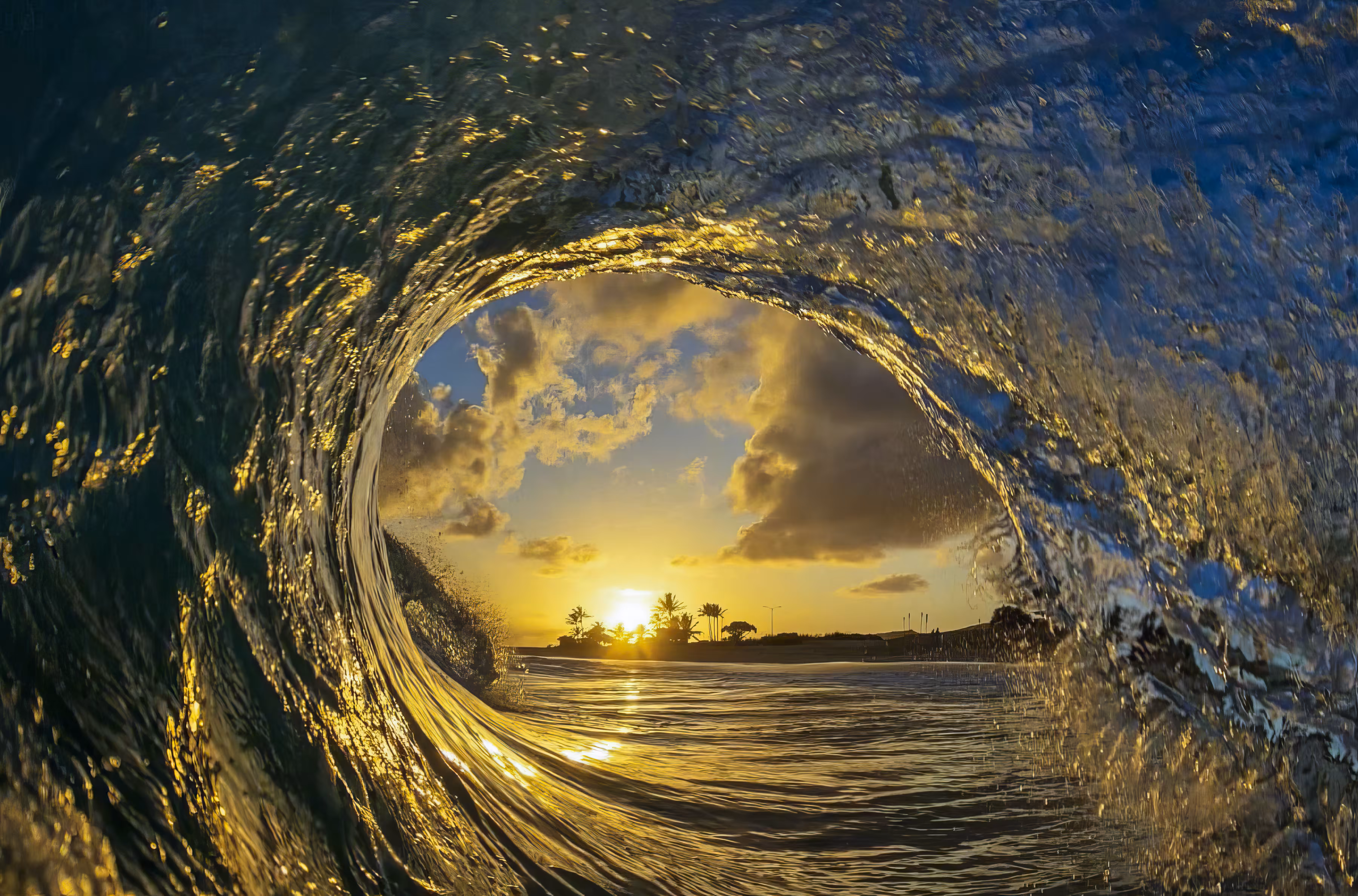Sunny Side