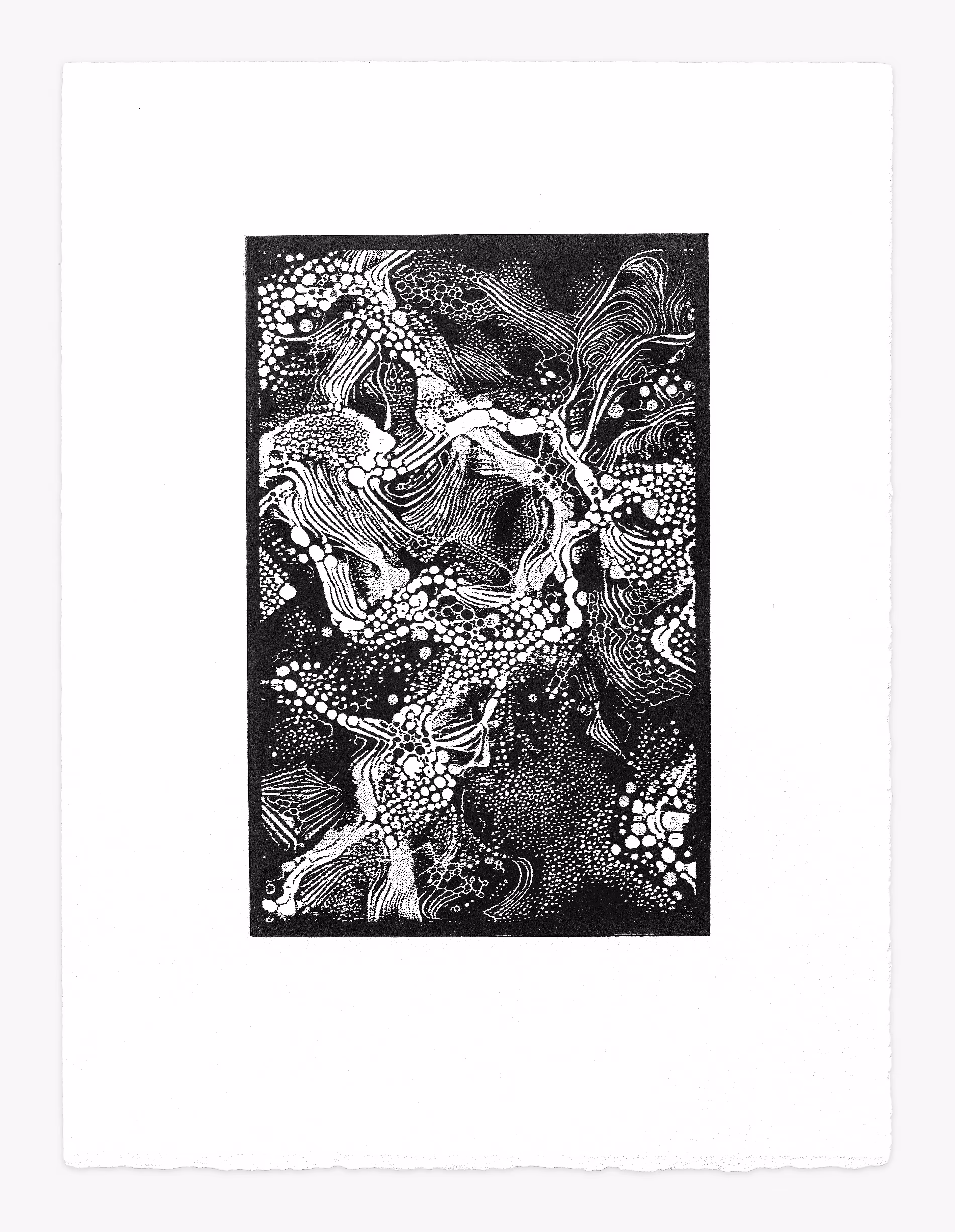 Cajal #1