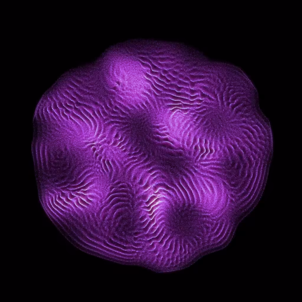 PETRI #5