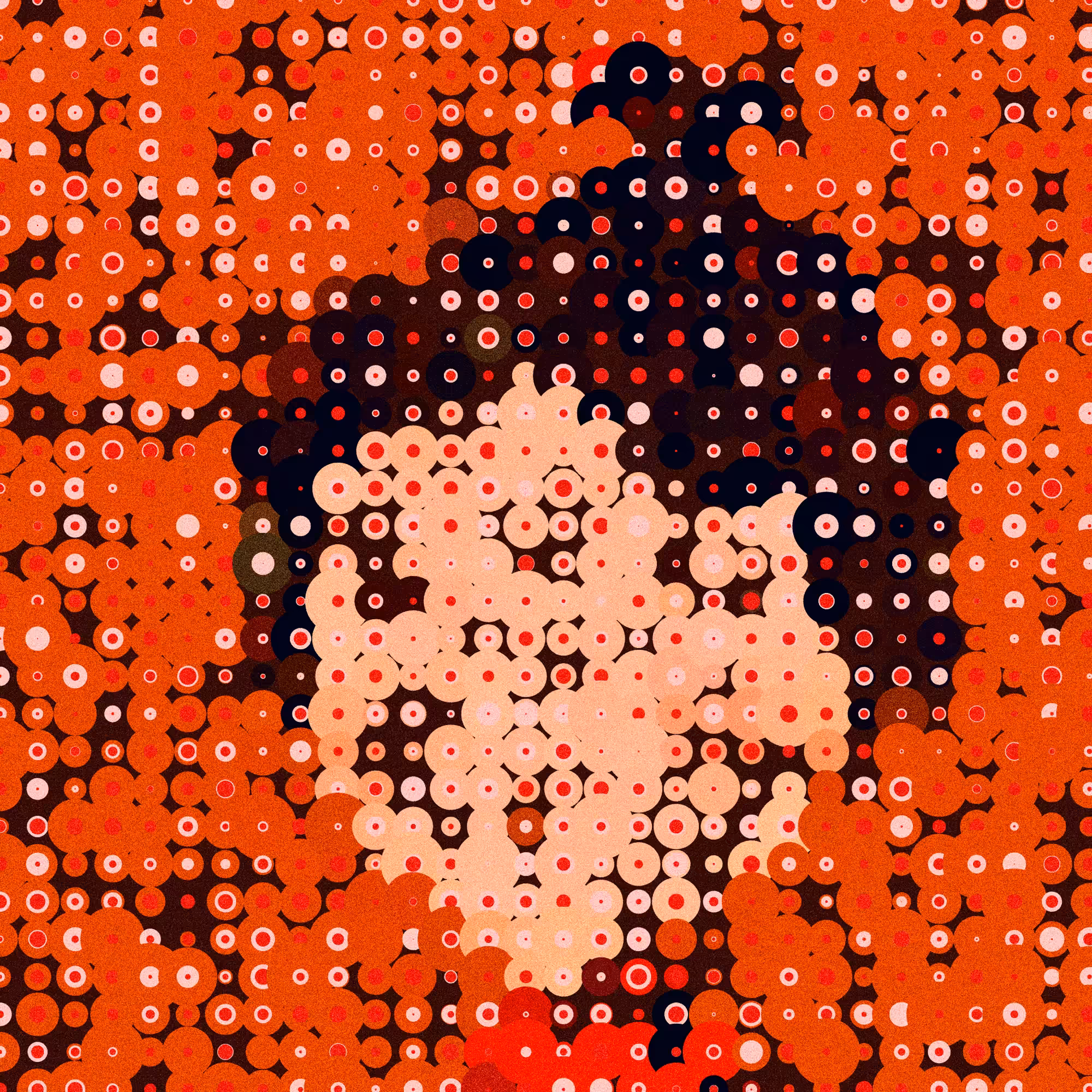 003