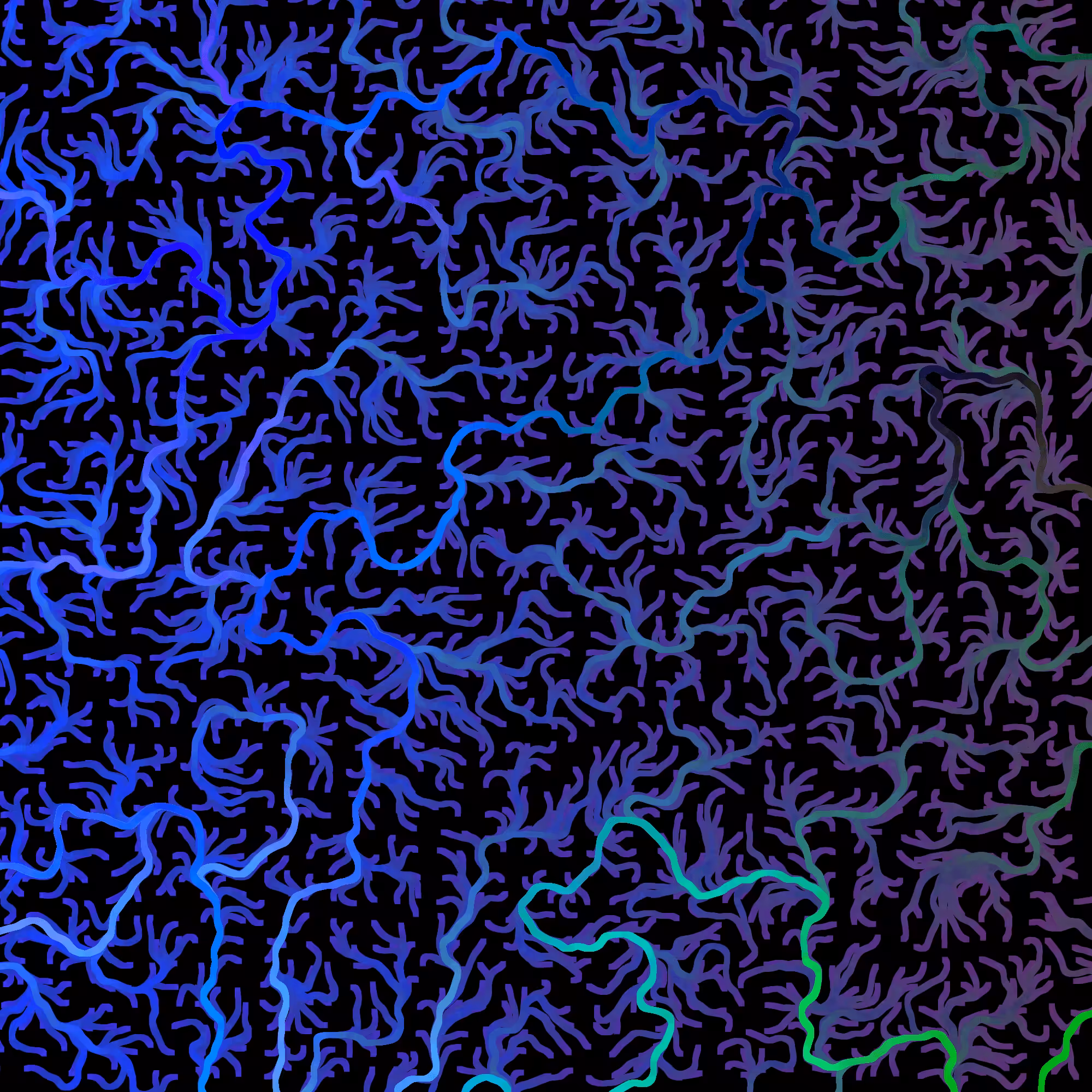Flow Fields #2