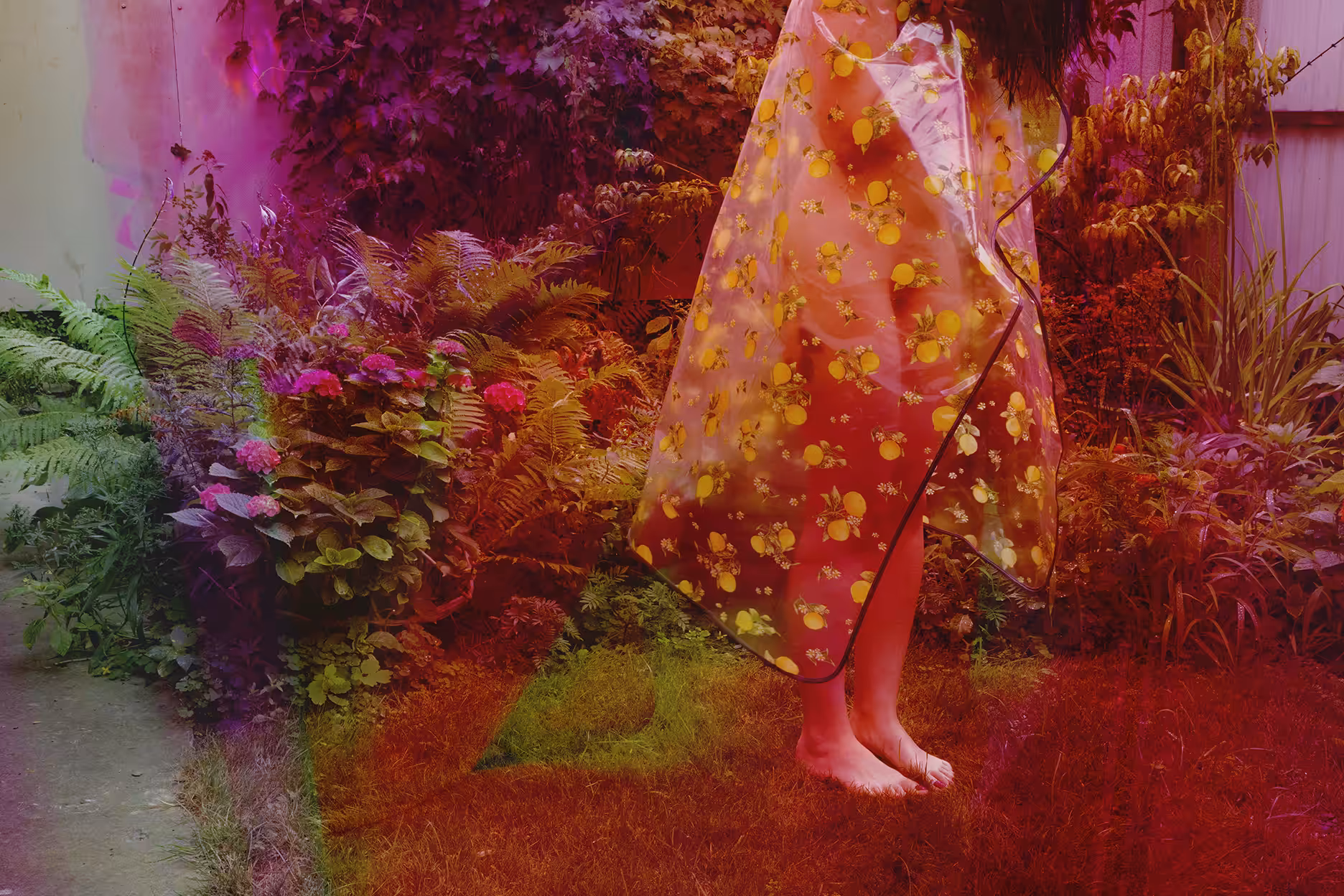 Disturbing Beauty #15